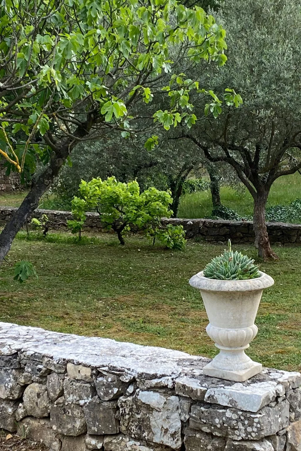 Klimatisiertes Mas Les Heures Bleues mit Pool - Draußen