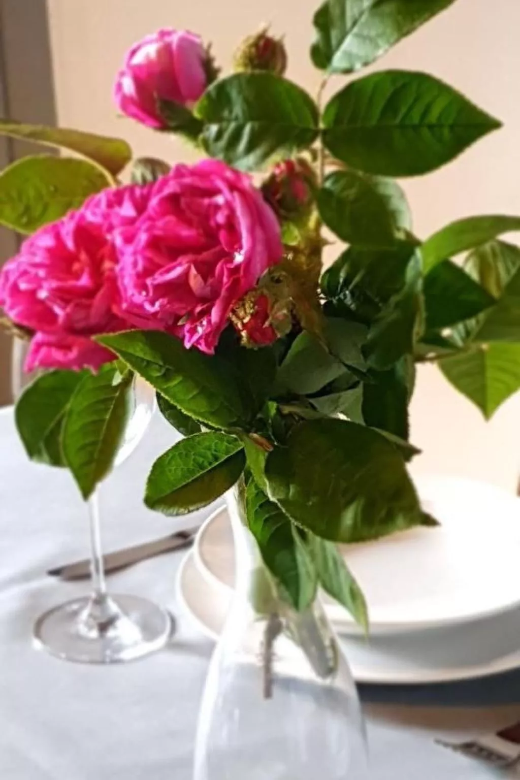 Cò d'Franz-Image-tags.info