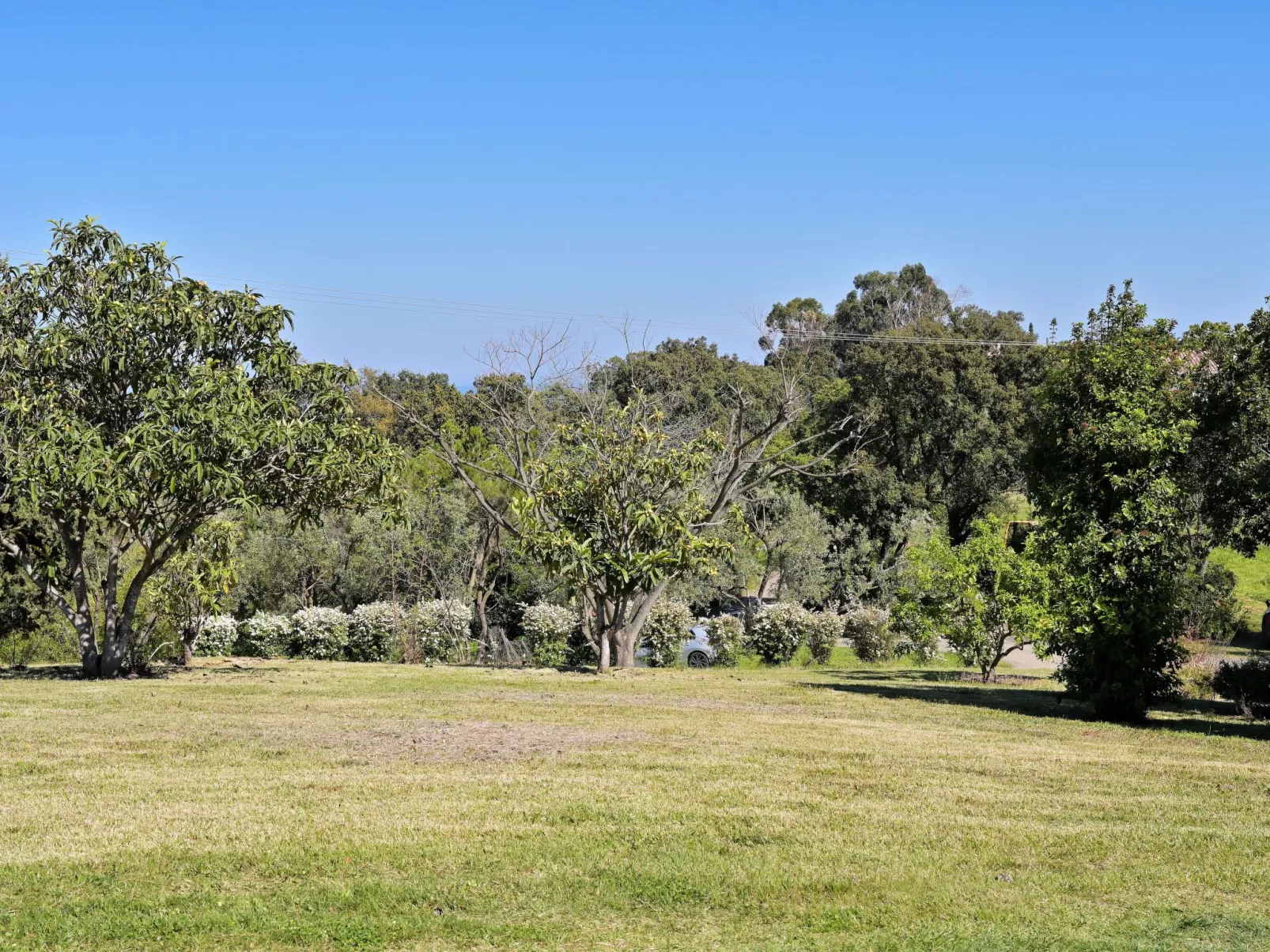 Weingut Punta della guardia zwischen Meer und Gebirge-Outside
