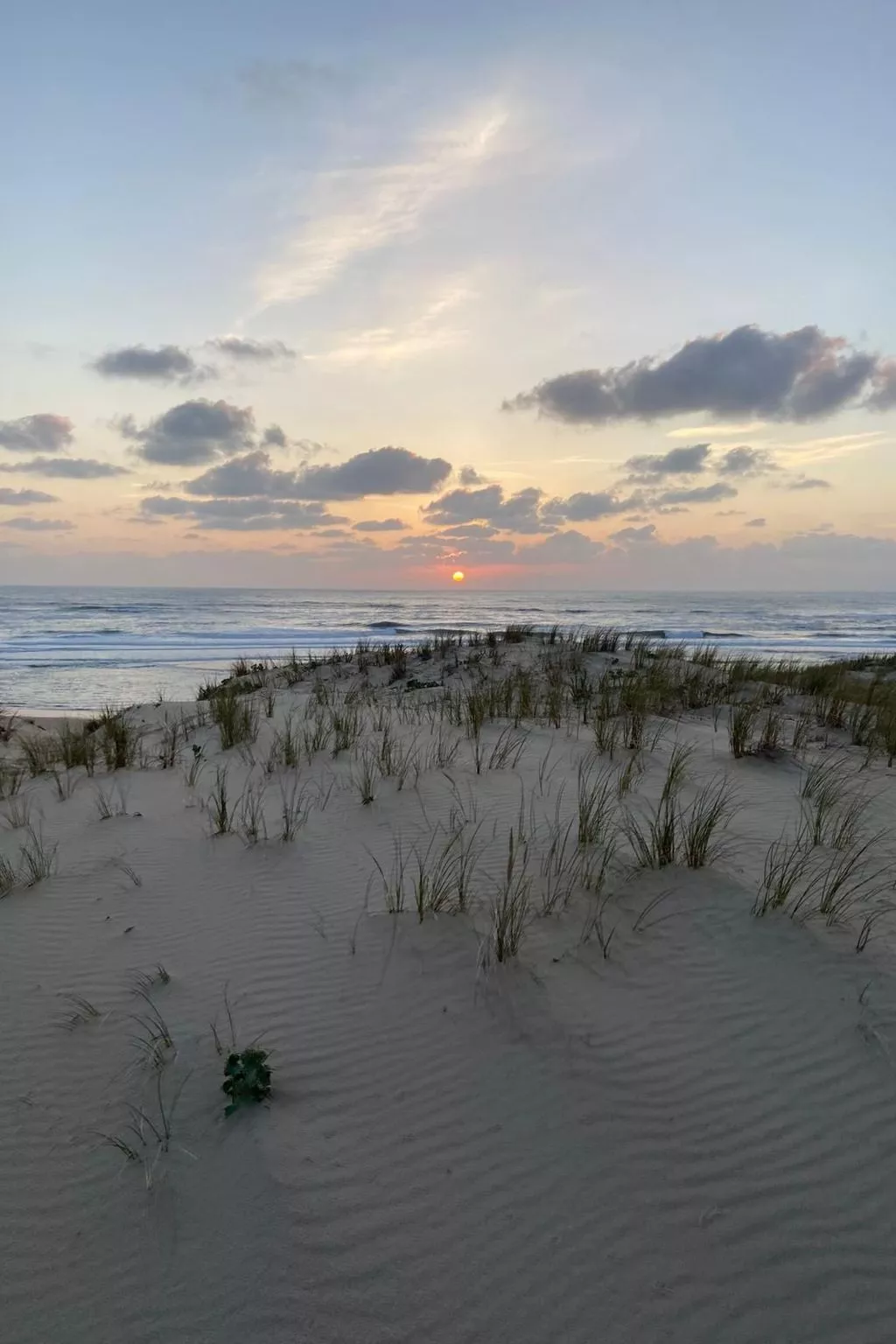 La Maison Pinède-Dehors