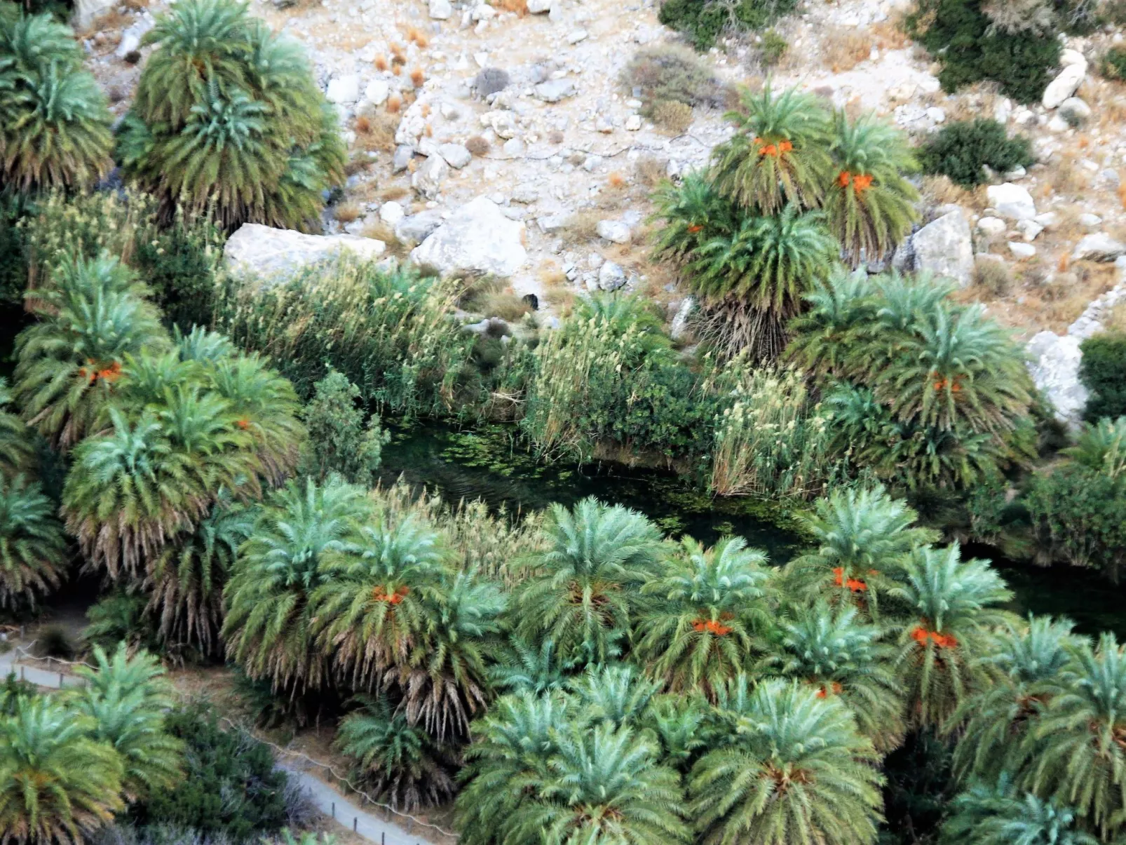 "Villa Faye" direkt am Strand-Dehors