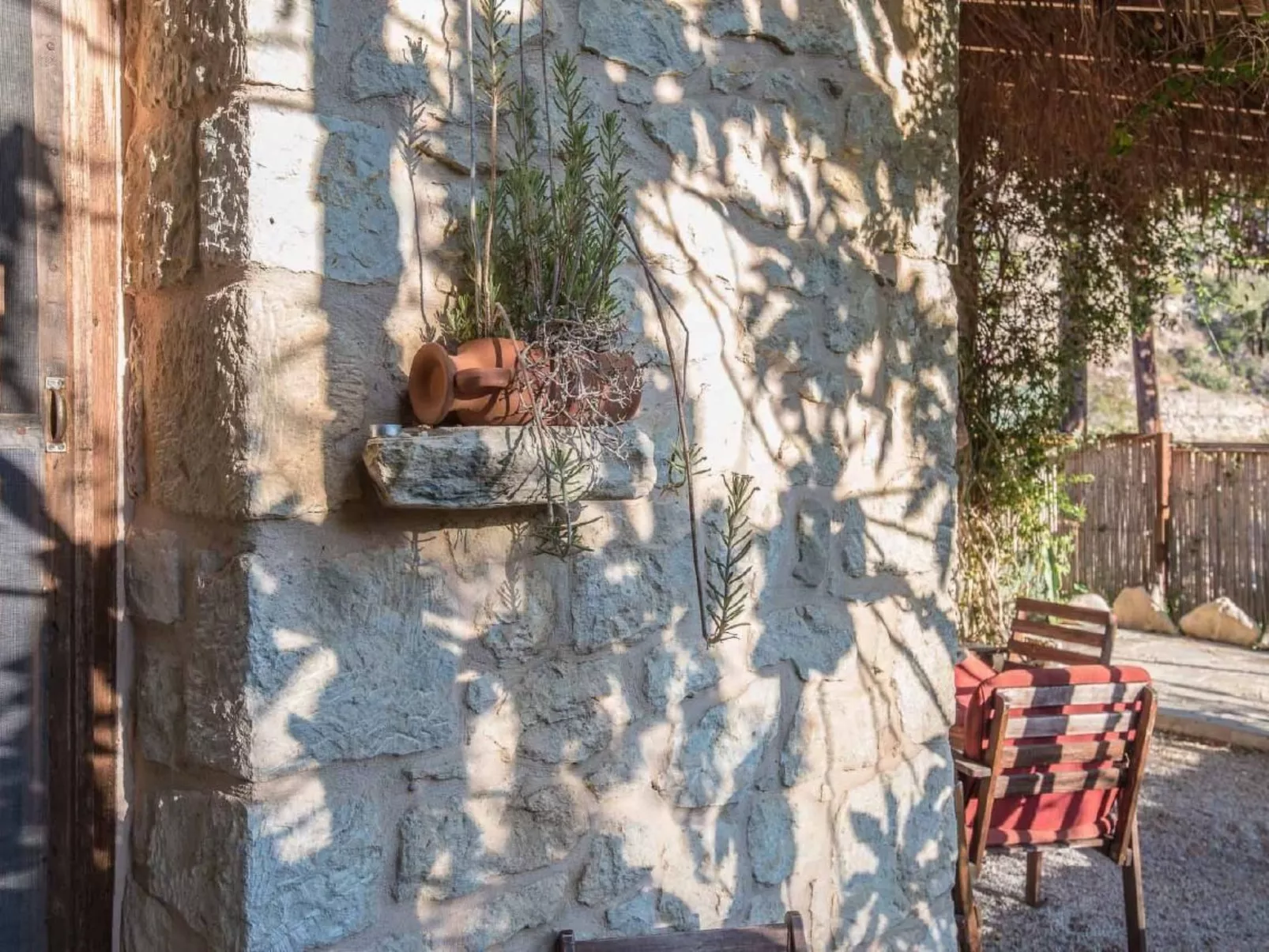 Spiti Papaya-Draußen