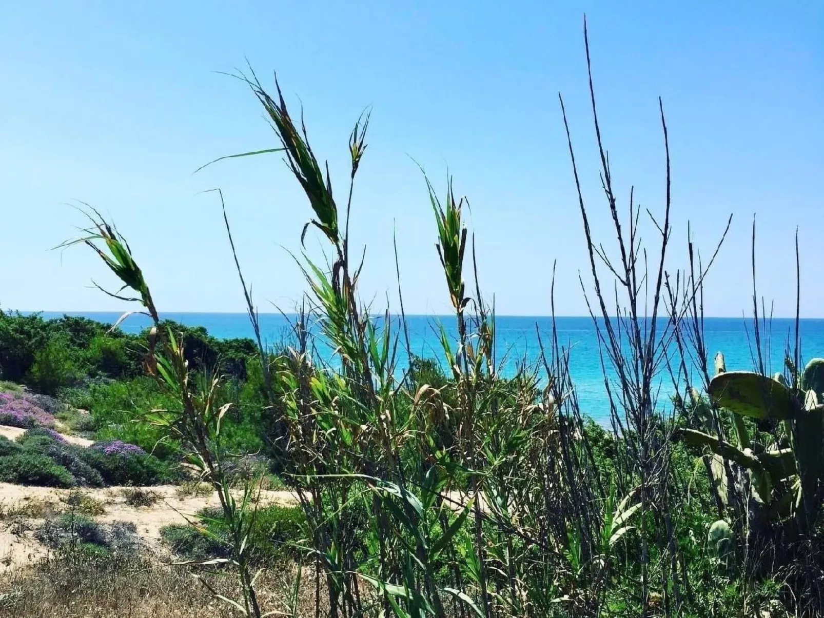 Villa mit privatem Pool-Image-tags.info