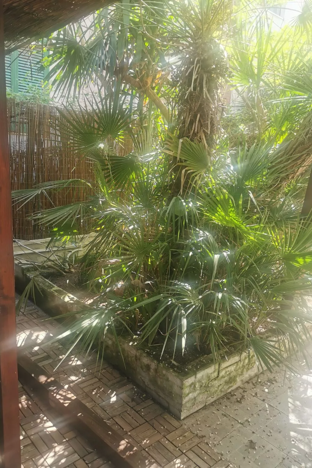 Entspannung am Meer in der Nähe von Neapel-Image-tags.info