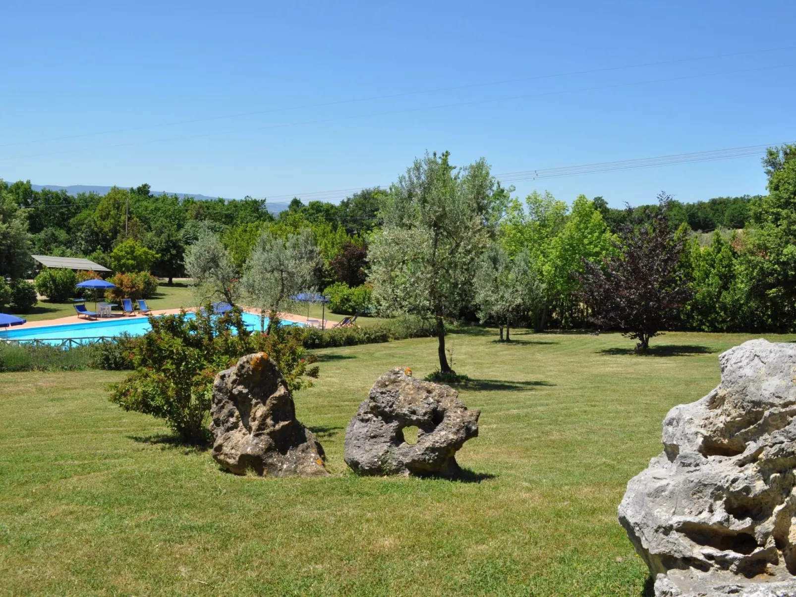 Flach "Madonnino corbezzolo T6-Outside