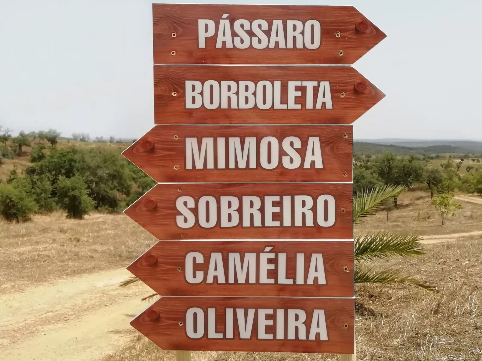 Monte Horizonte Casa Passaro Öko und Natur-Draußen