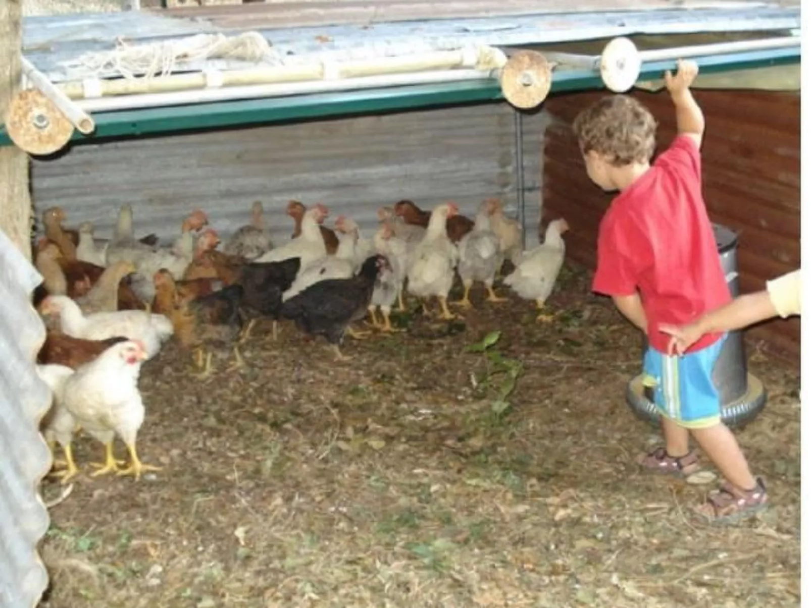 Agritourismus Vigne di Pace - Il Molino-Image-tags.info