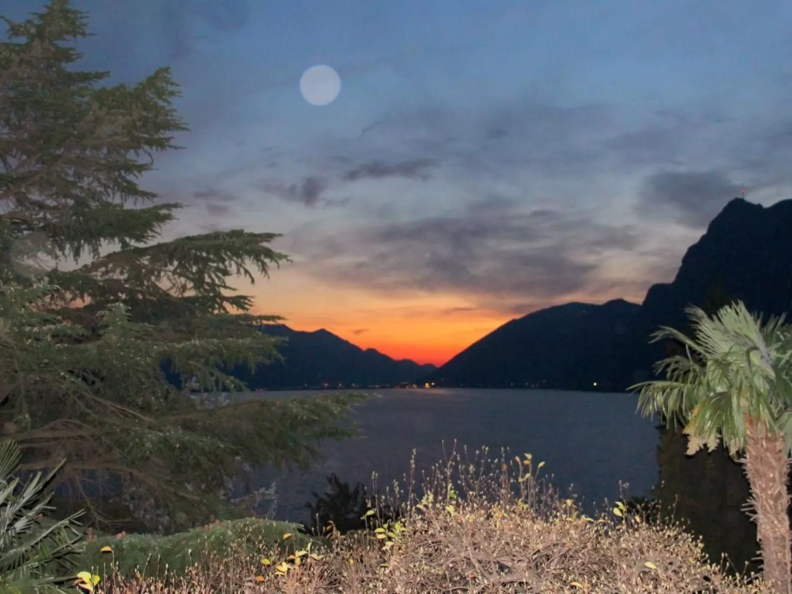 Barony Villa-Image-tags.info