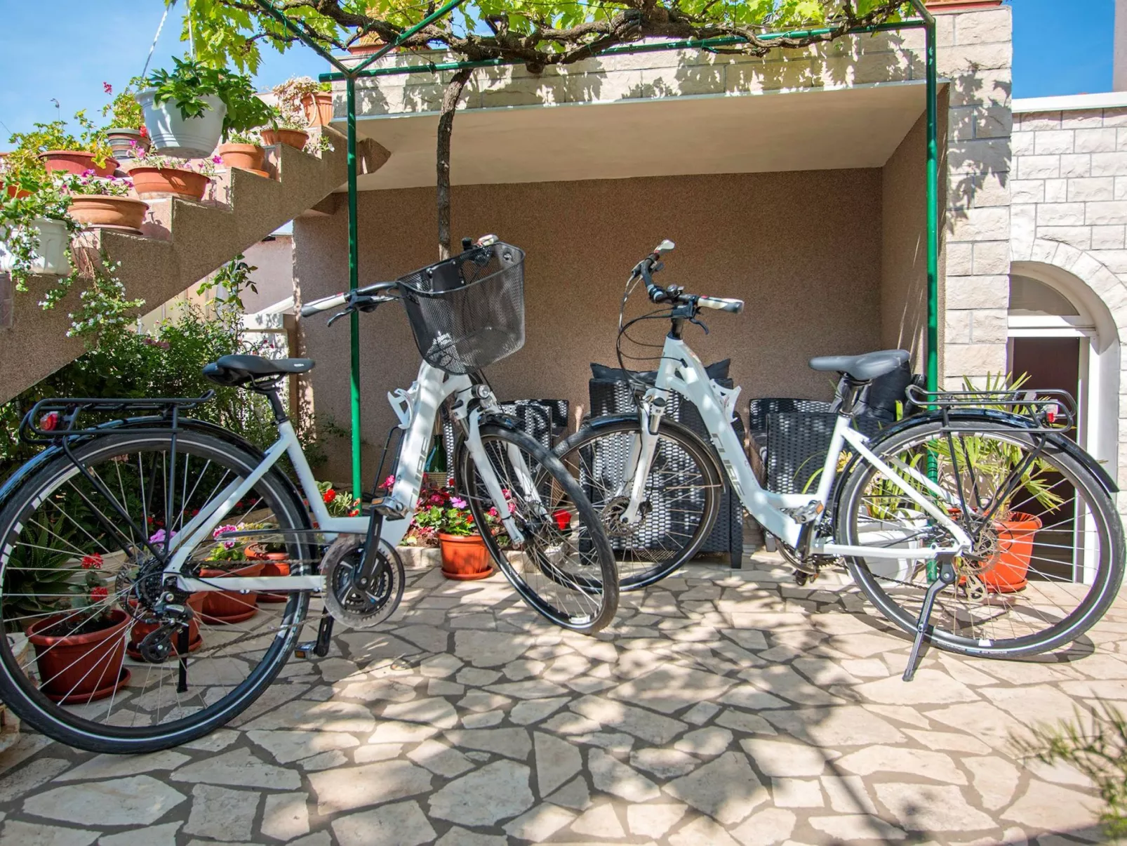 Studio Oliva ****-Image-tags.info