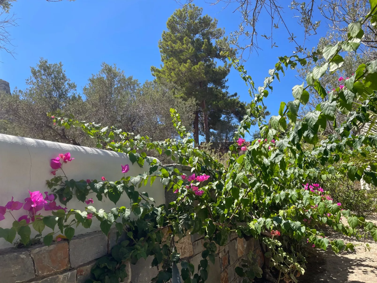 Nefeli Blue Villa in altem Olivenhain, Meerblick-Outside