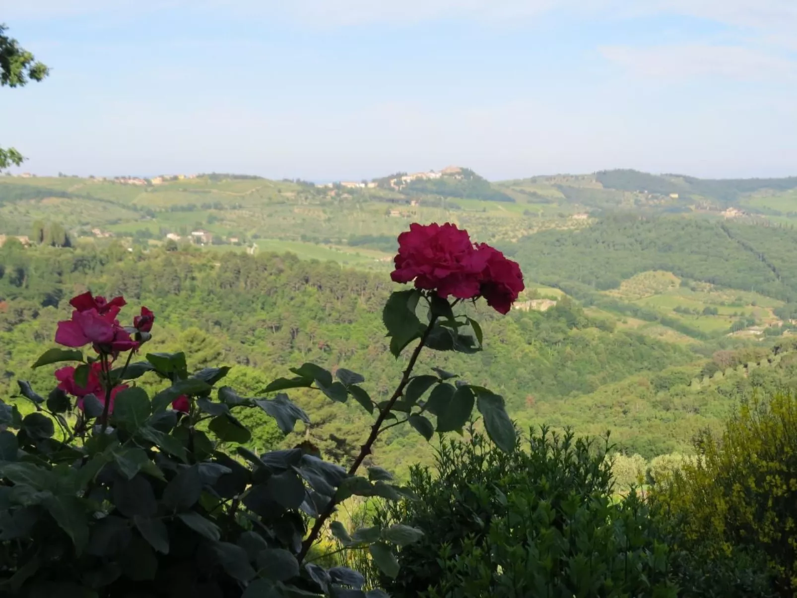 Podere Campolungo - Lo Studio-Outside