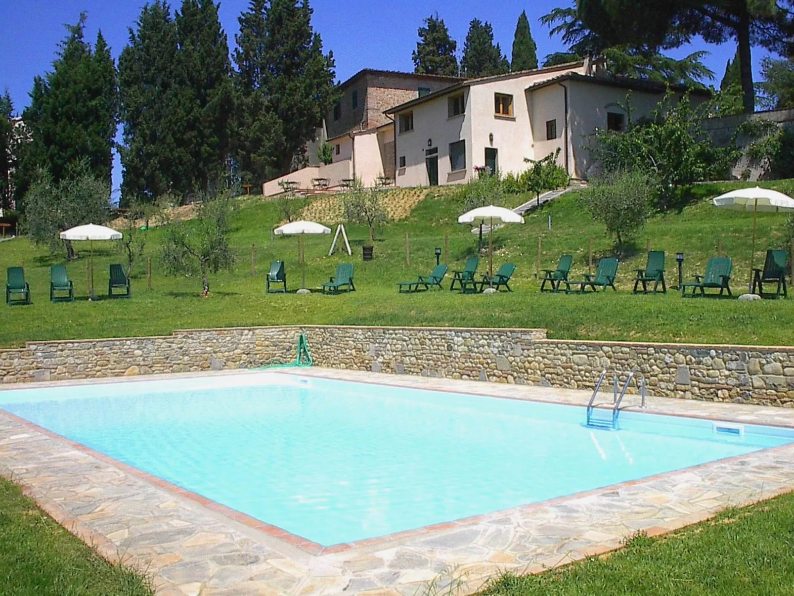 "Ciclamini capponi-Image-tags.info