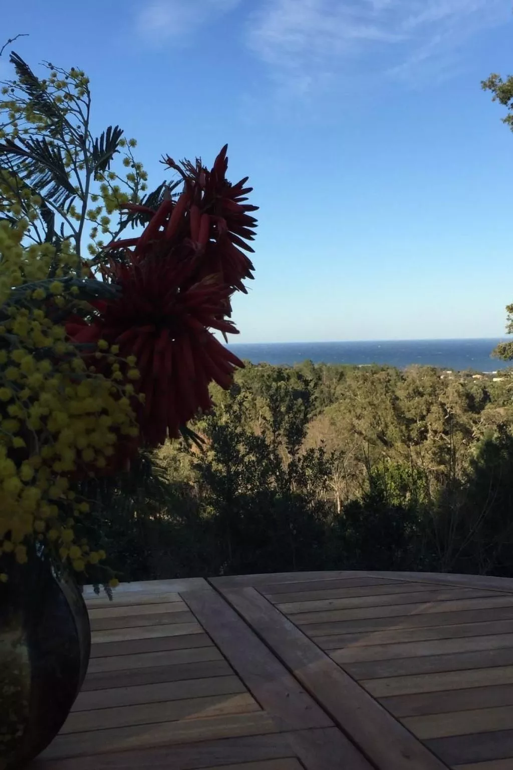 Villa Belle Vue, direkt am Meer, 1-2 Haustiere erlaubt-Outside