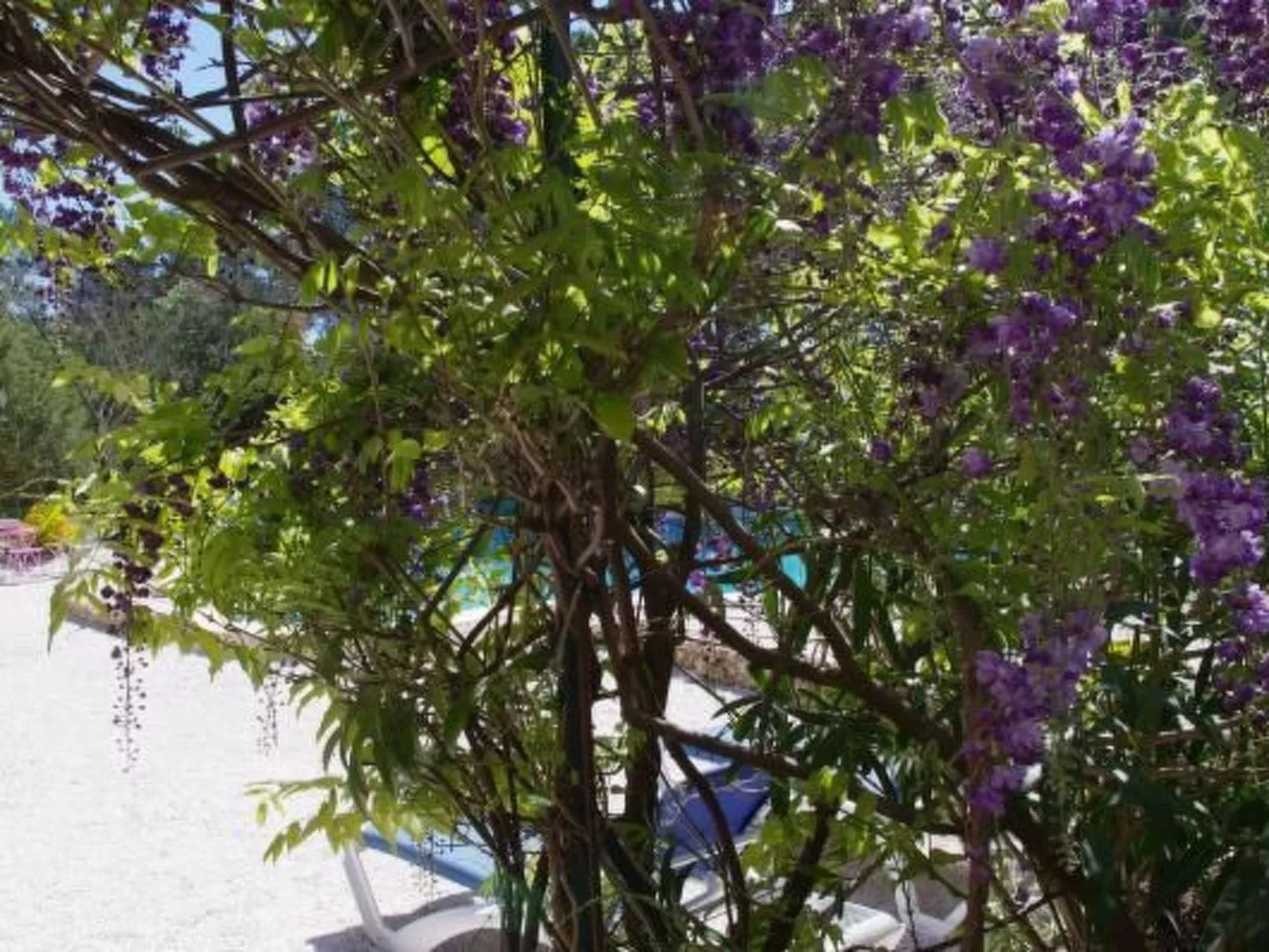 "Cigale" mit Pool-Outside