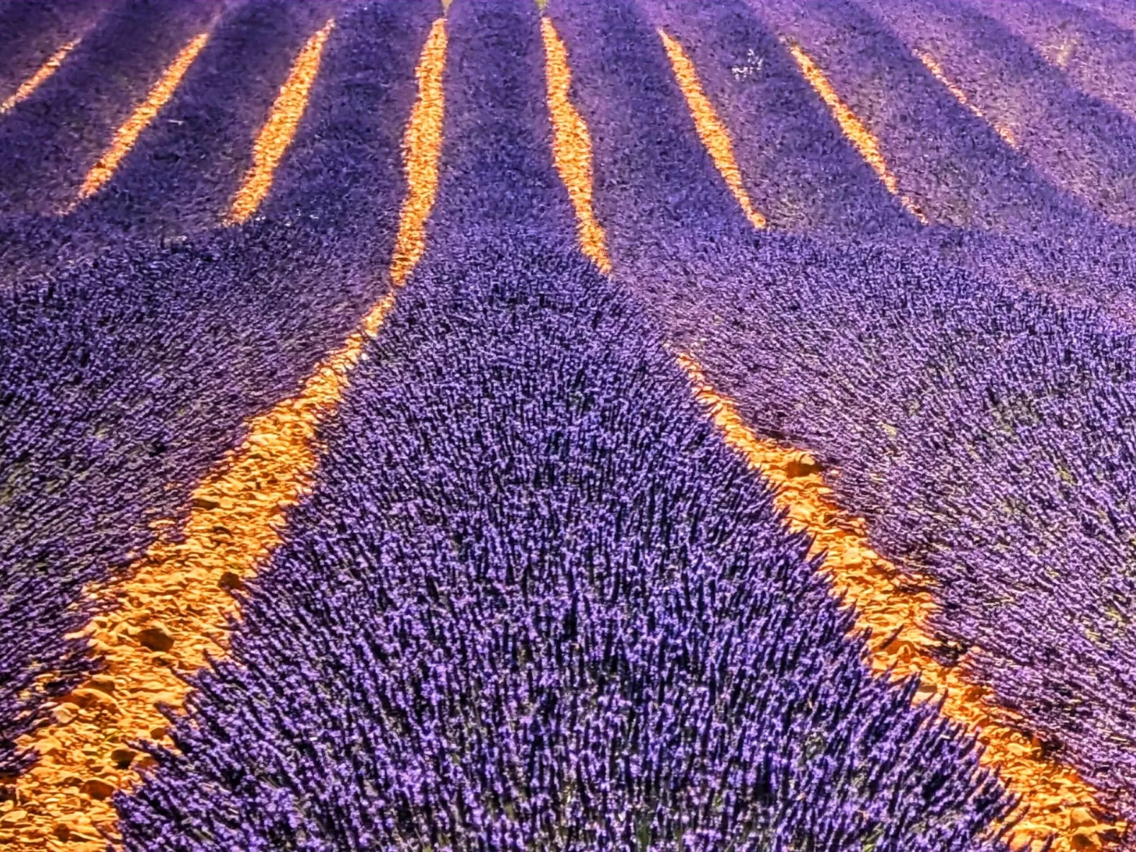 Mobilheim an der Cote d'Azur-Draußen