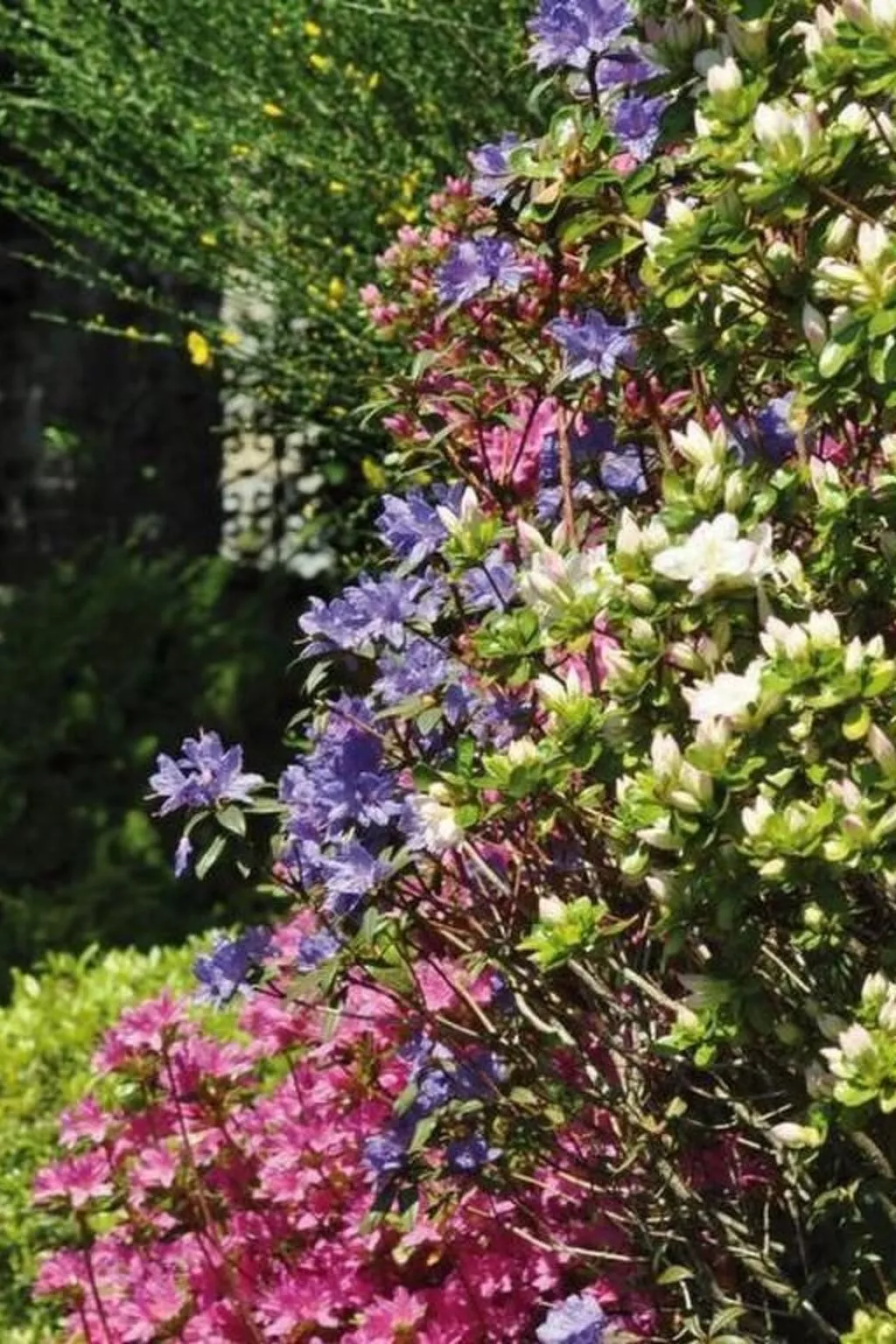 Villa Cresta Bianca-Draußen