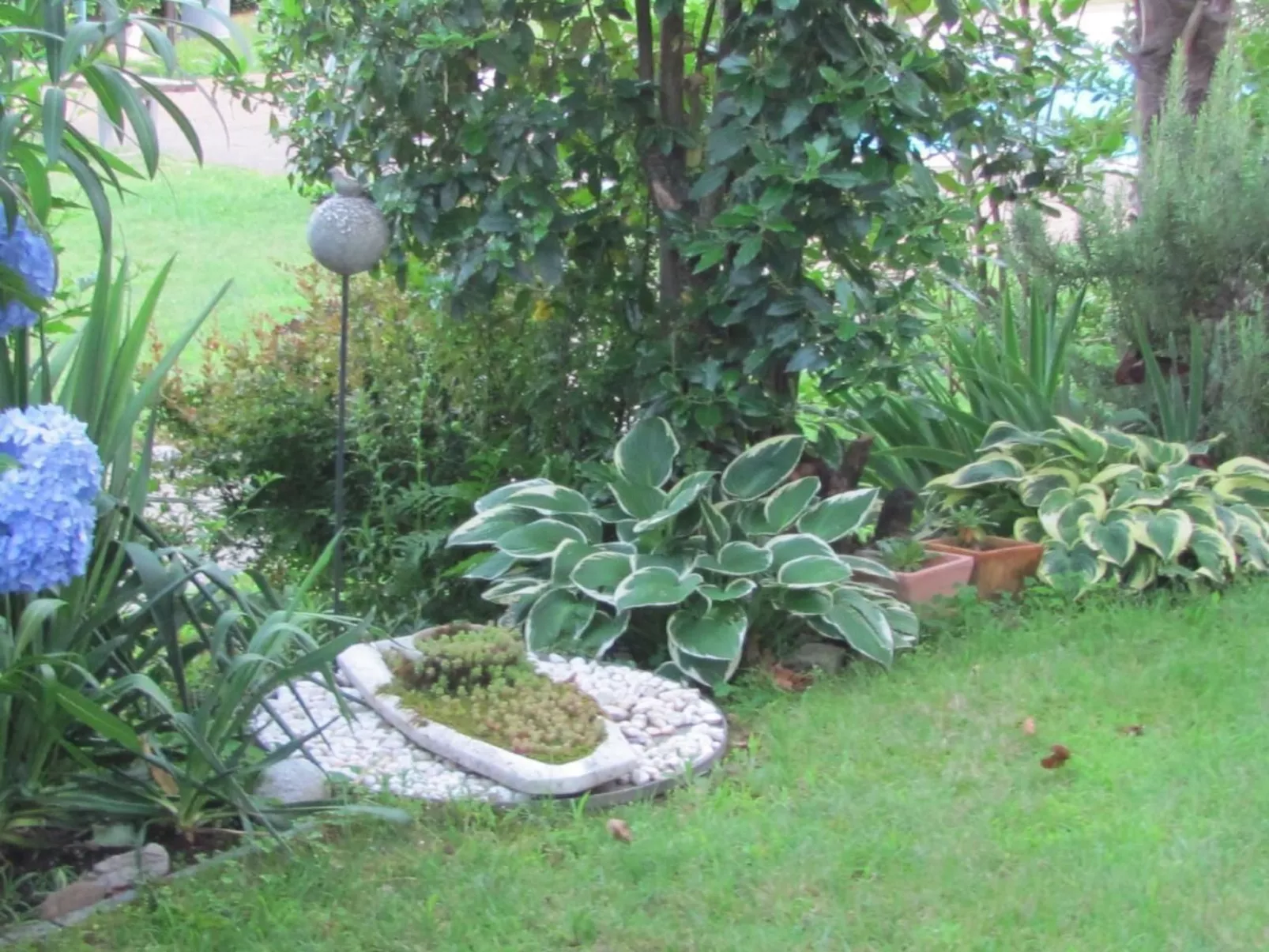 2 Zimmer Gartenwohnung mit Pool-Image-tags.info