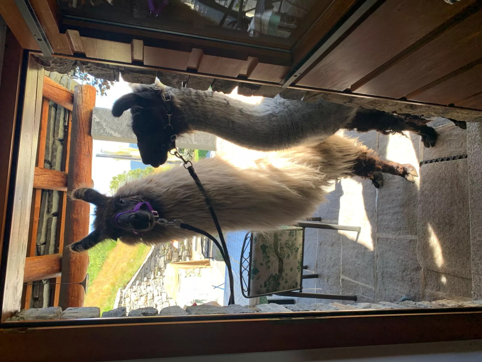 Cà du Papa 2-Dehors