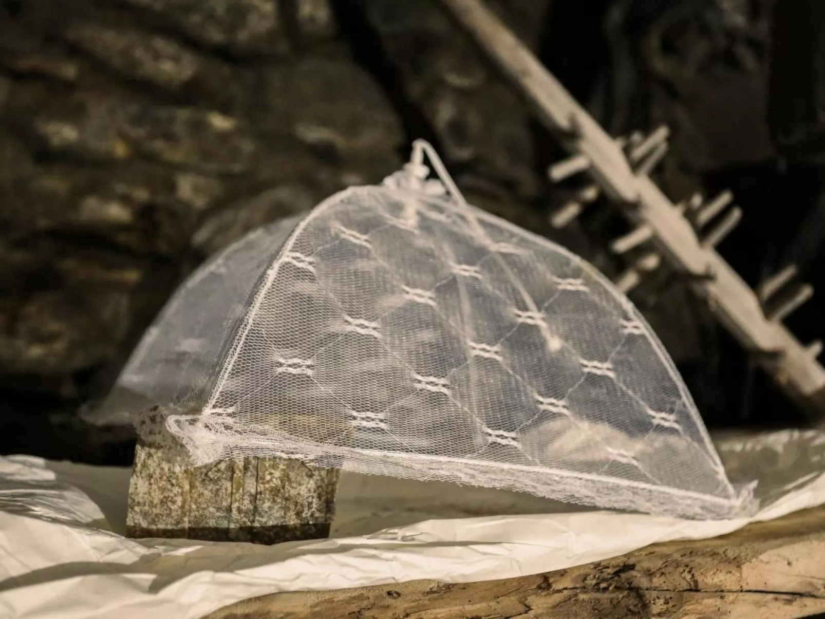 Genießen Sie das 'Attico Adula' in Cà Nizza-Inside