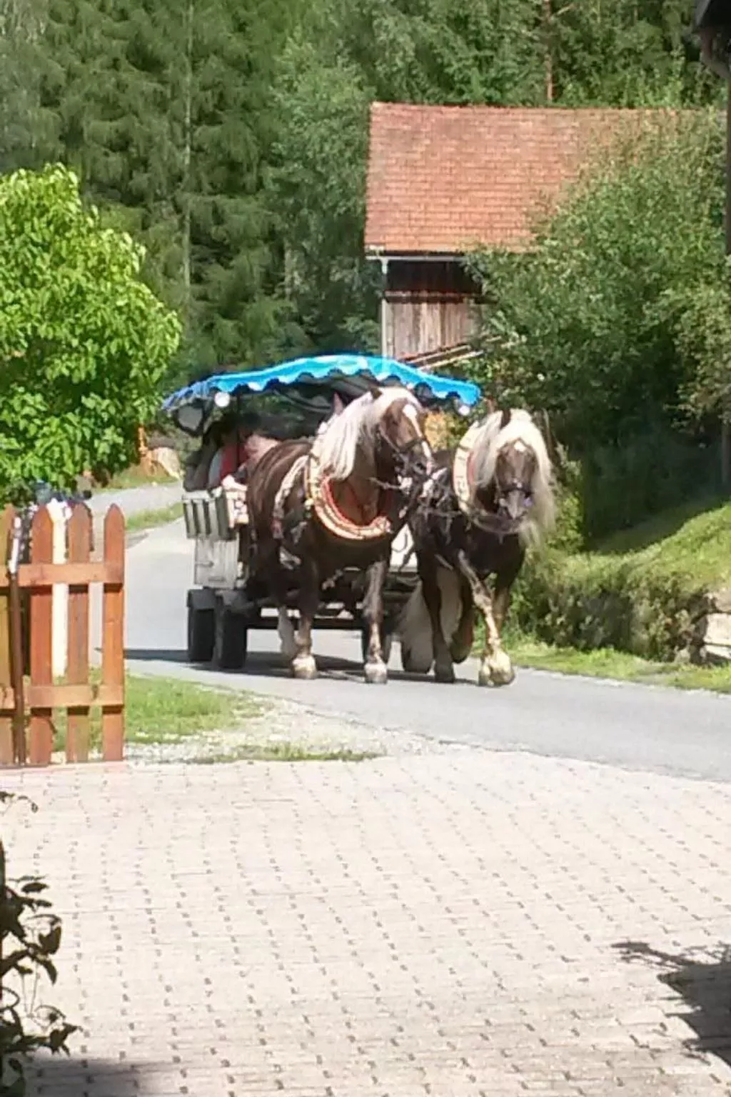 FeWo Steinbeisser-Outside