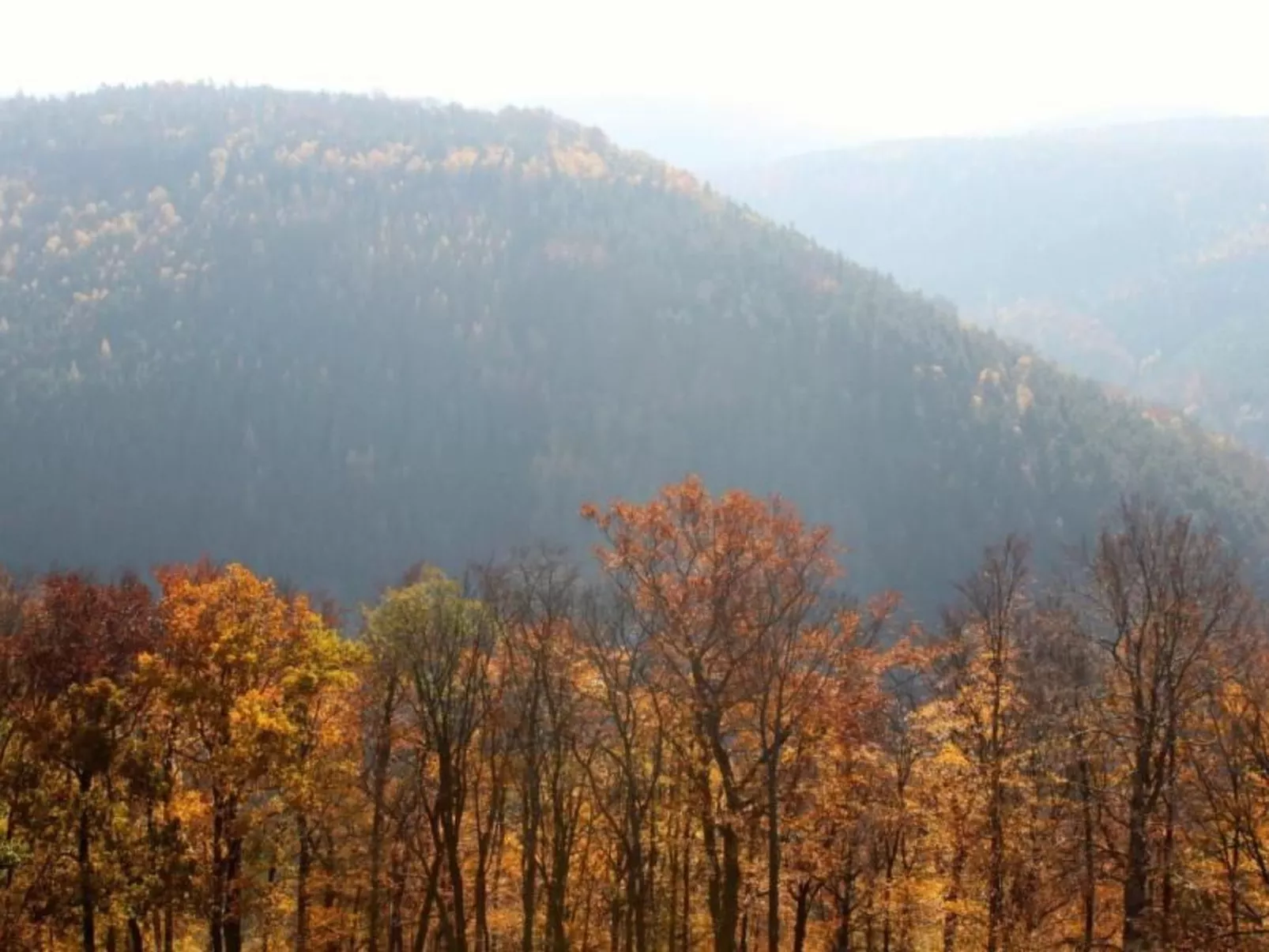 Fewo Natur und Kunst-Image-tags.info