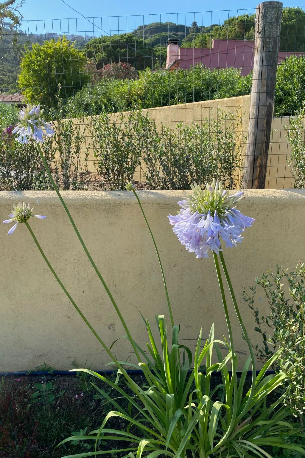 Entspannende Landvilla-Image-tags.info