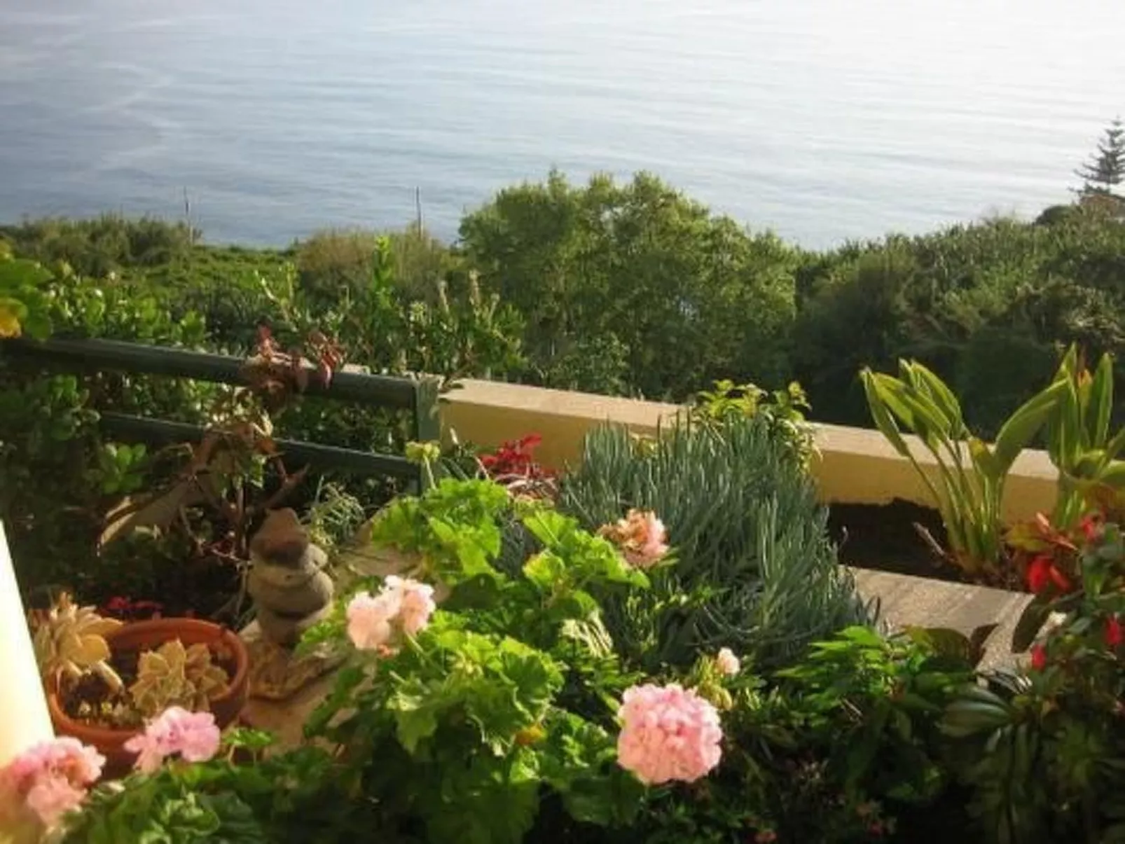 Geräumige Wohnung mit Panoramablick-Image-tags.info