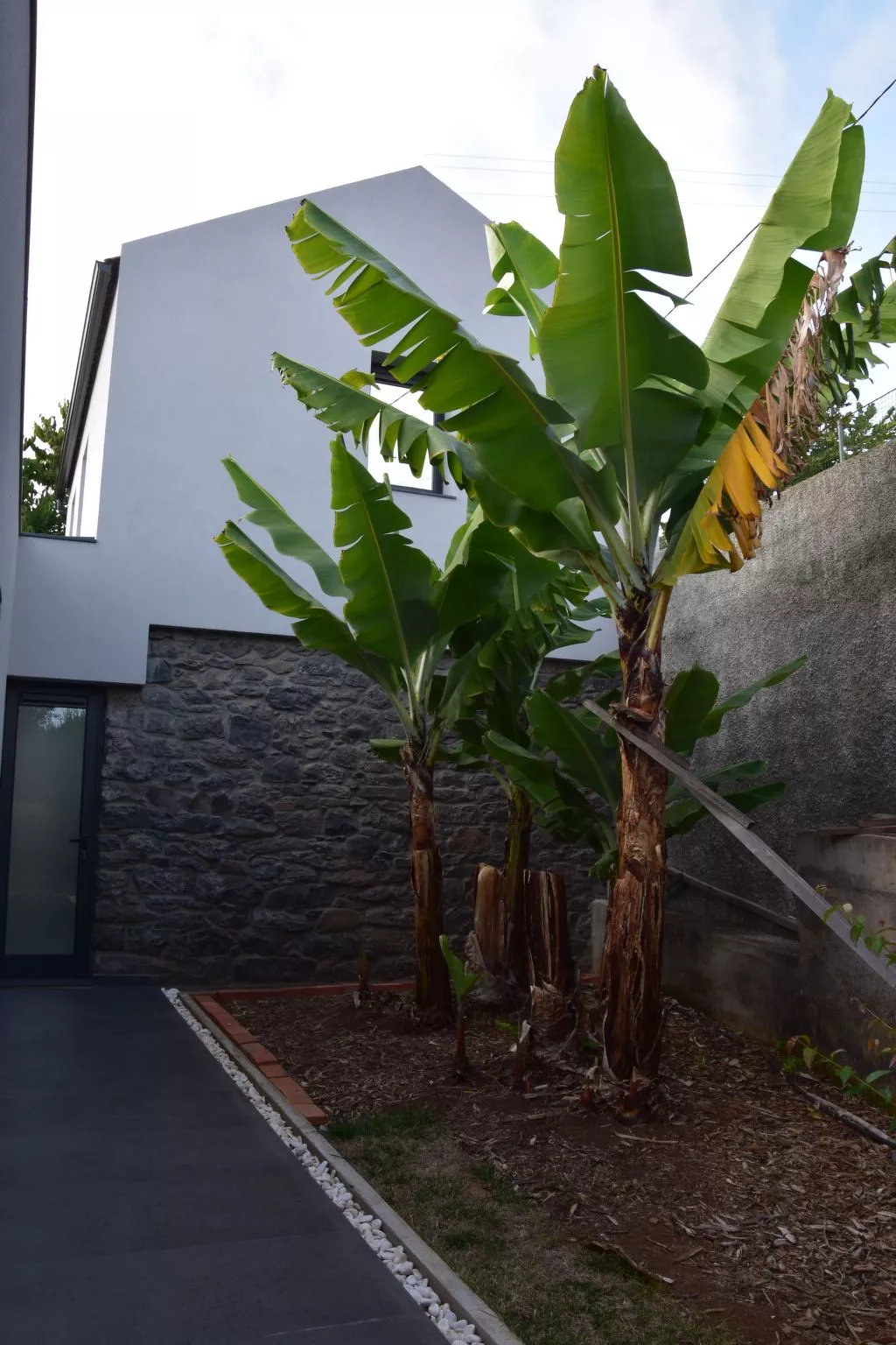 In Estreito Da Calheta mit Privatem Pool und Meerblick-Dehors