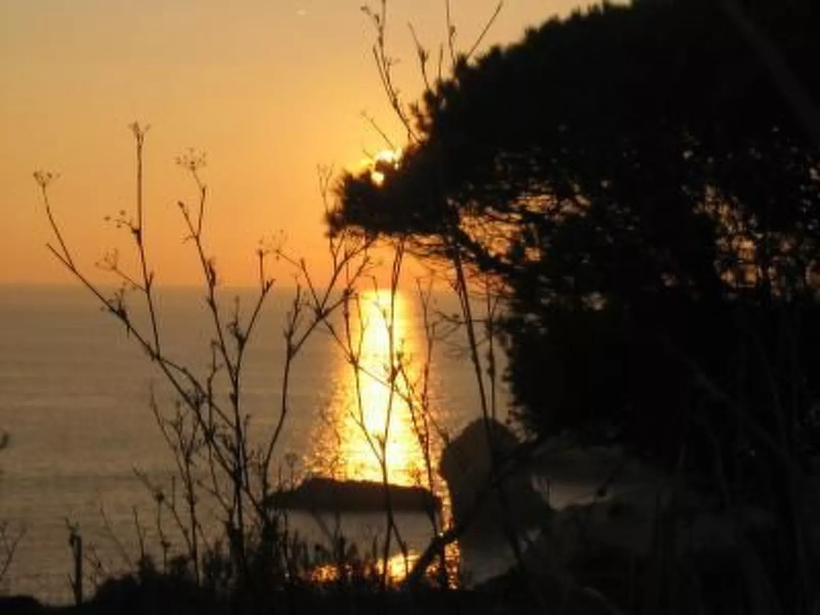 Einzigartige Lage, atemberaubende Aussicht, Leben in der Natur.-Dehors