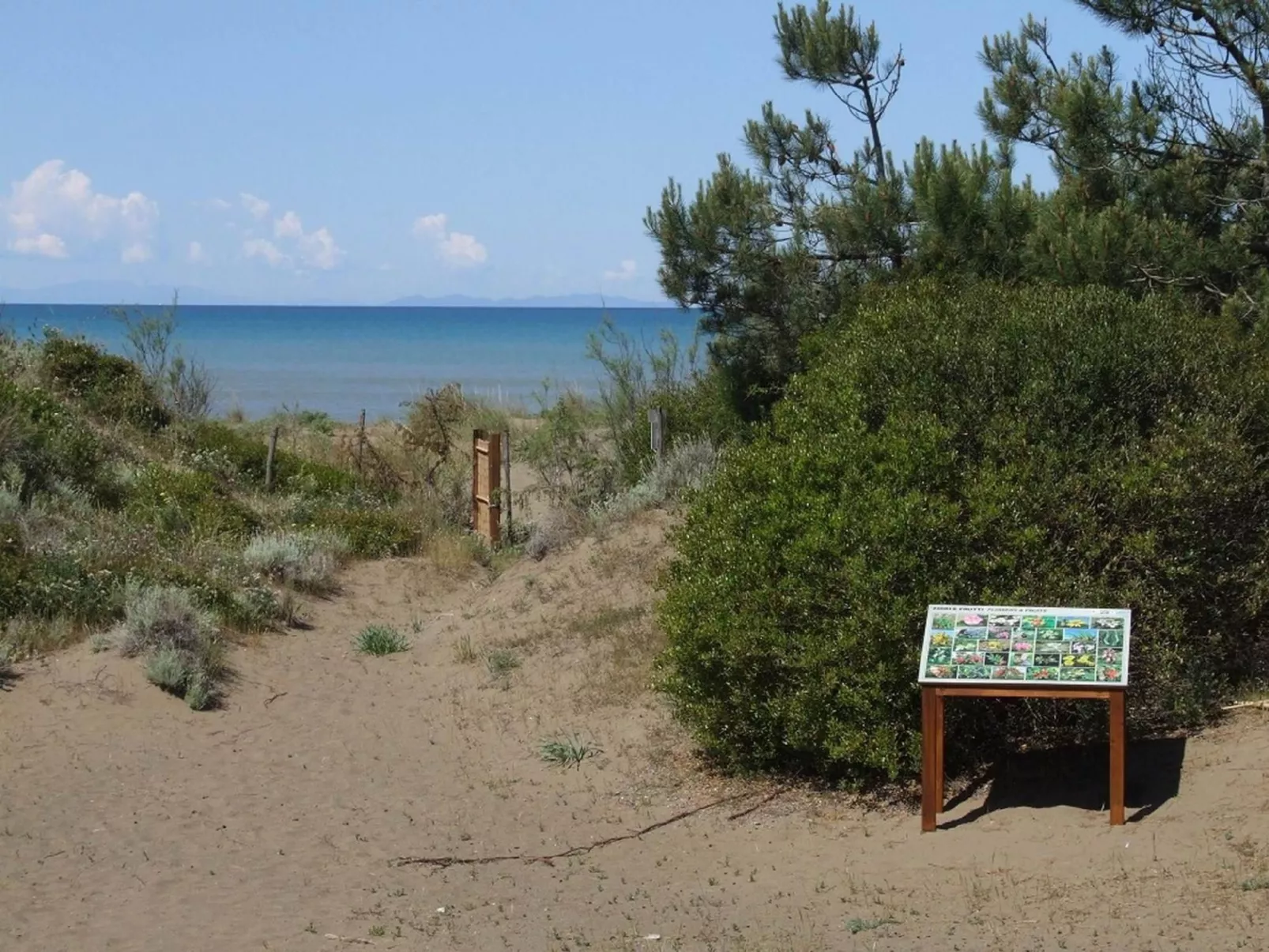 Iris' Wohnung mit Terrasse-Dehors