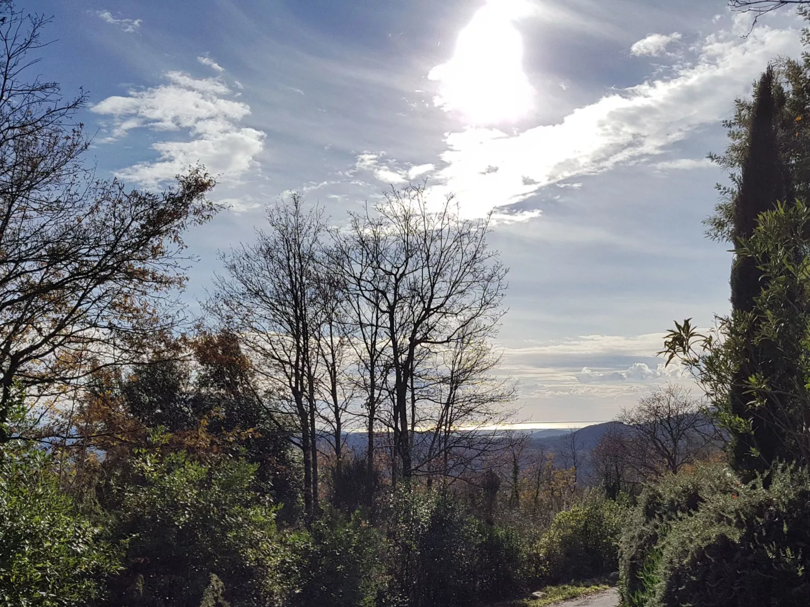 Wohnung 'Eichhörnchen' mit Schwimmbad-Draußen