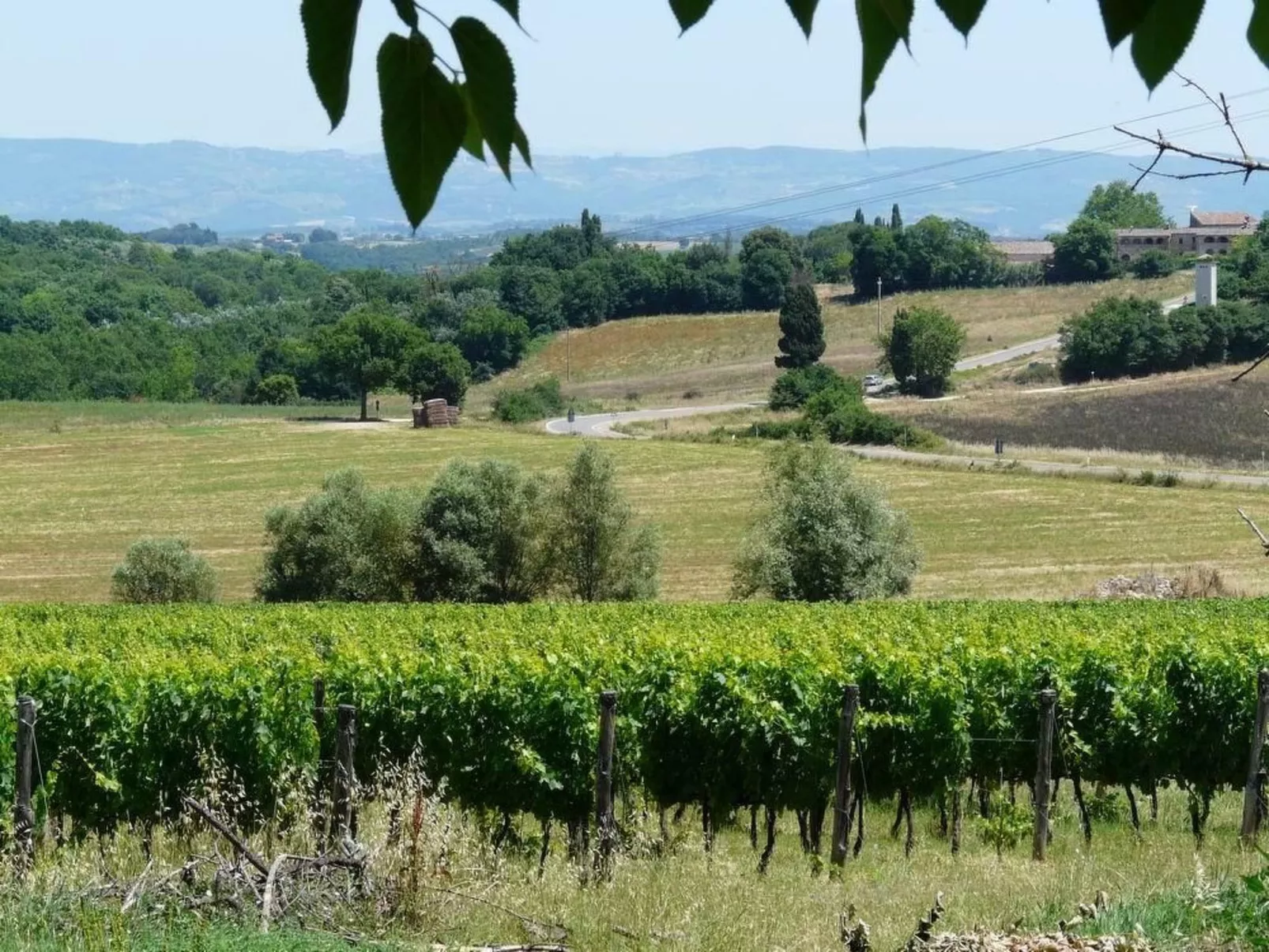 Santinovo archi Wohnung mit Schwimmbad-Draußen