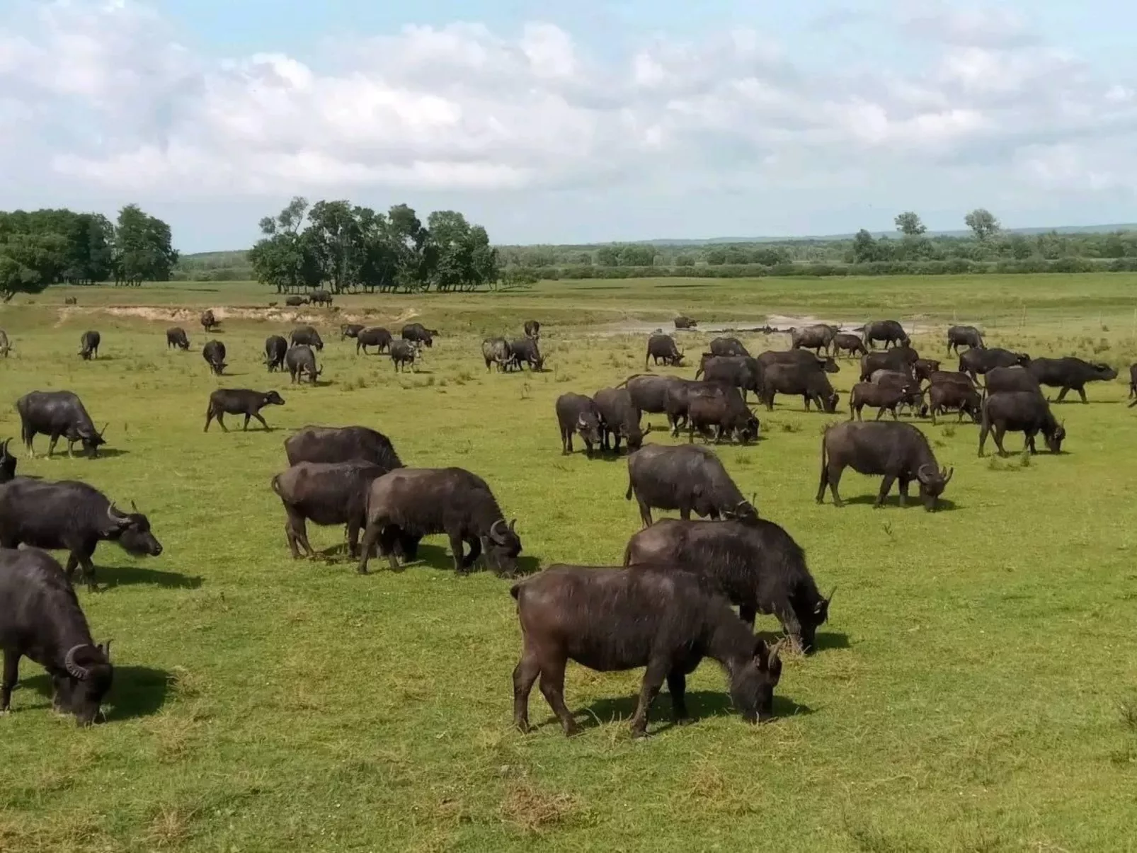 Schöne Ferienwohnung in Zalakaros-Dehors