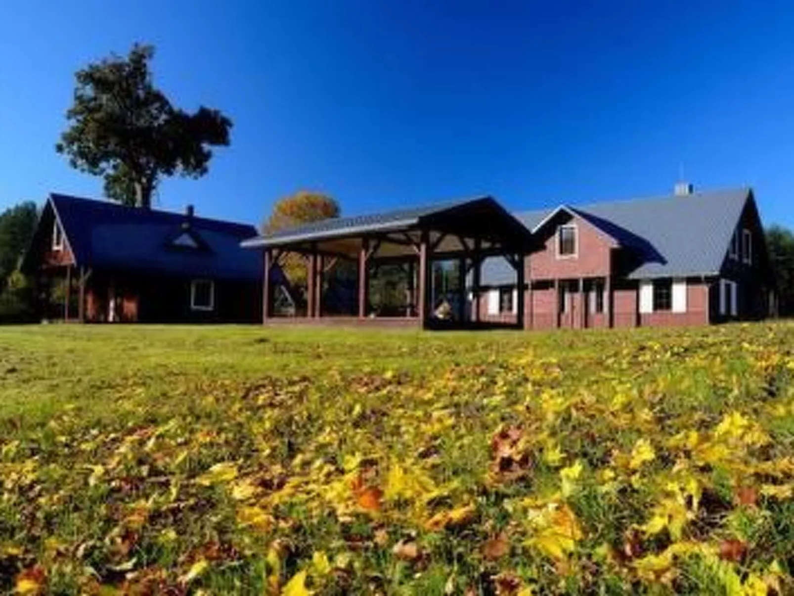 Charmante Waldvilla Dzukijos Uoga am See-Image-tags.info