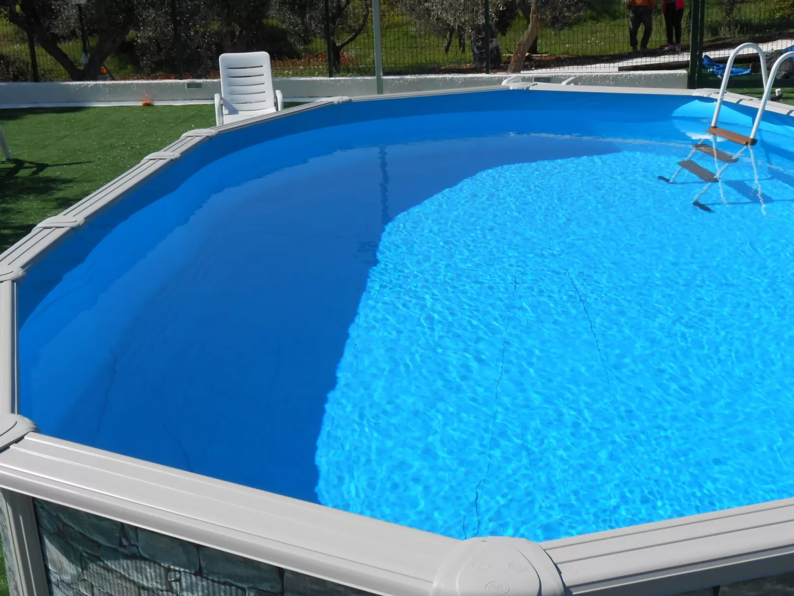 VIOLA-Image-tags.info