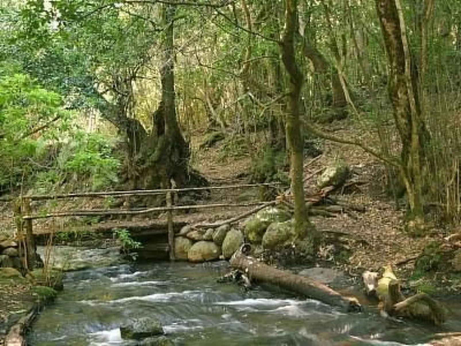Casa Rural El Serrillal 2 Hermigua La Gomera-Image-tags.info