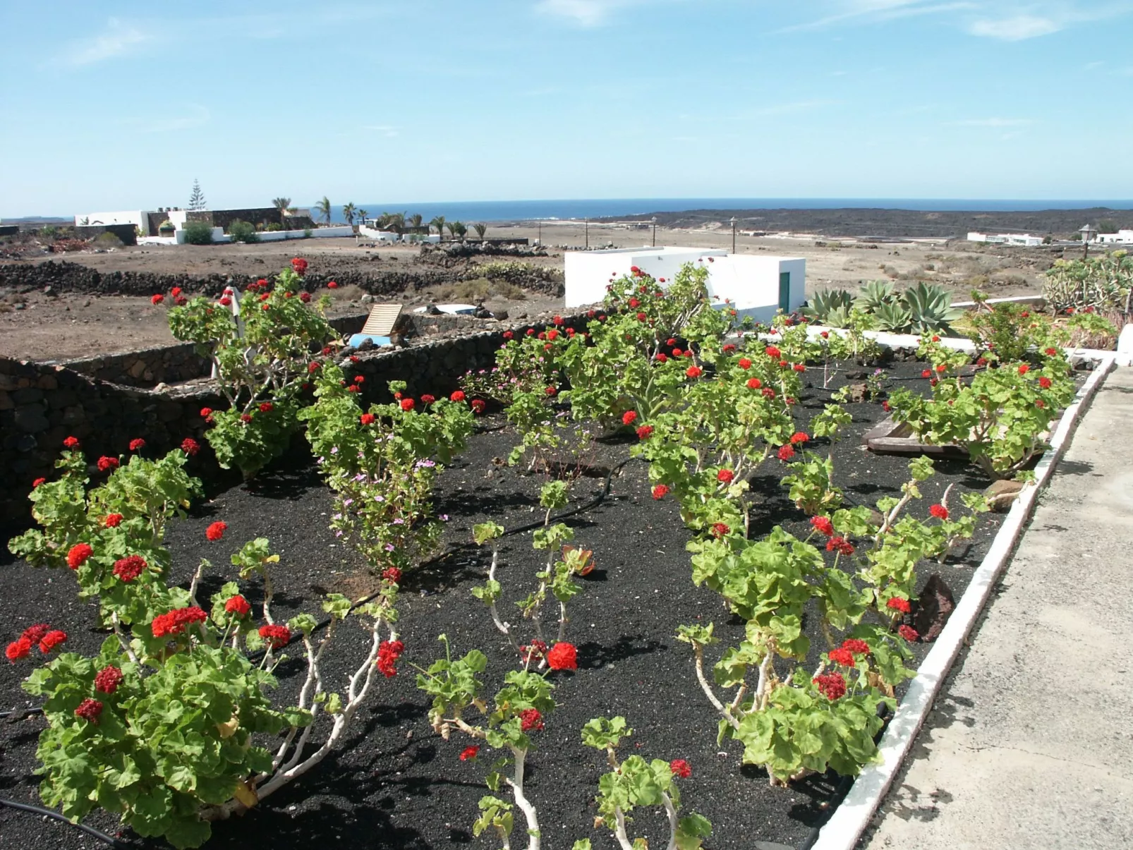 Finca mit Pool und herrlichem Meerblick-Outside