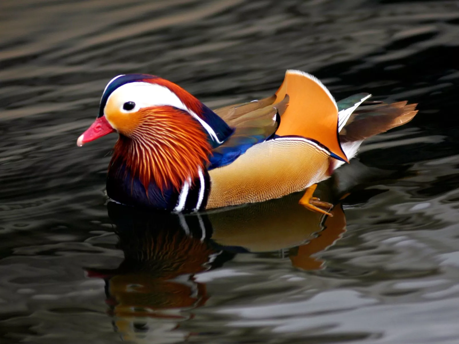 Open Space Penthouse im Schloss mit Seeblick-Draußen