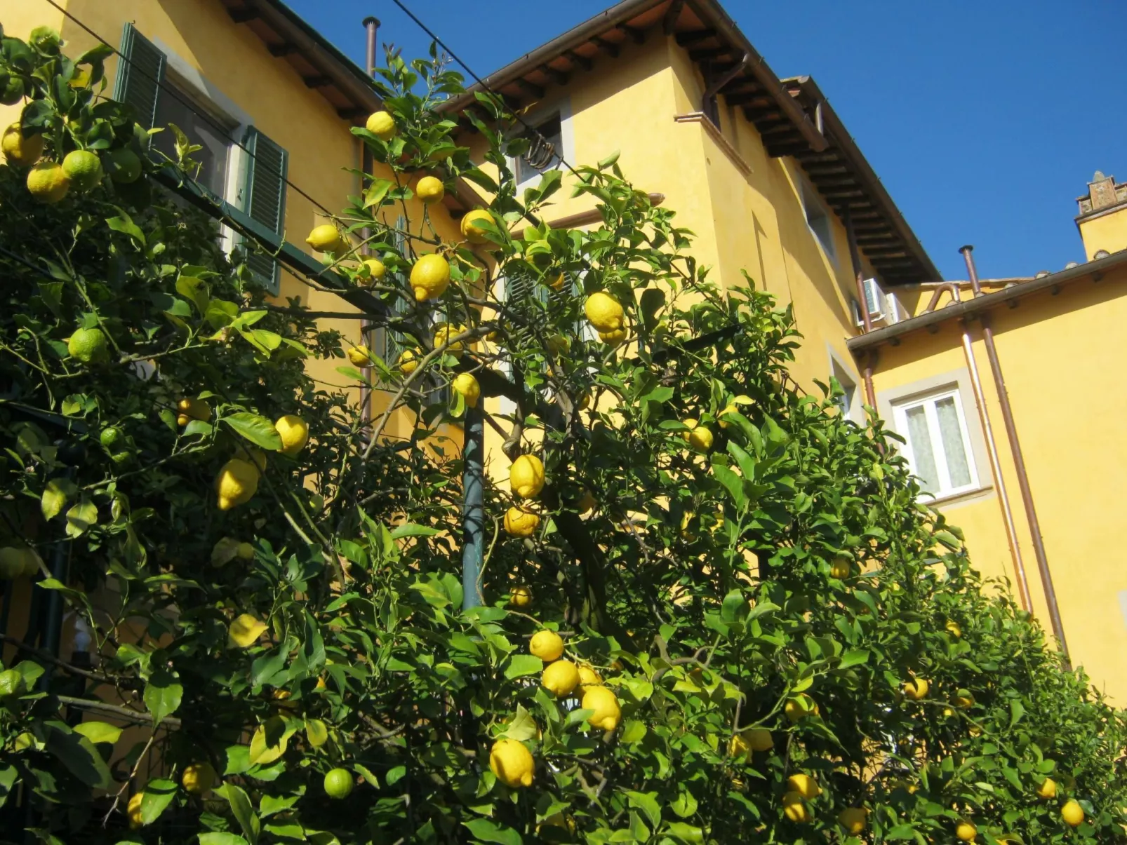 Wohnung 'The Lemon' mit Privatparkplatz - Dehors