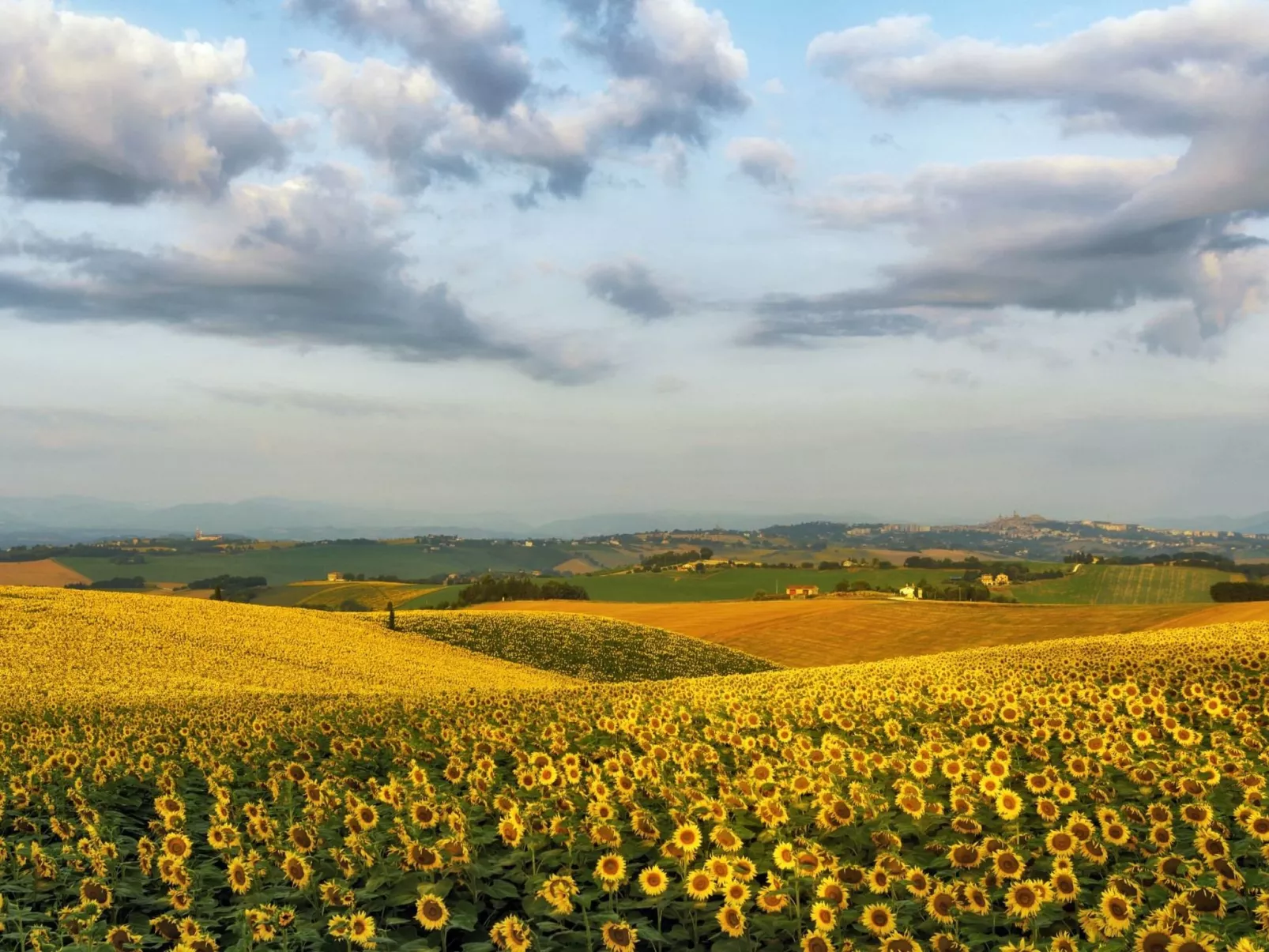 'Casa il Girasole'-Outside