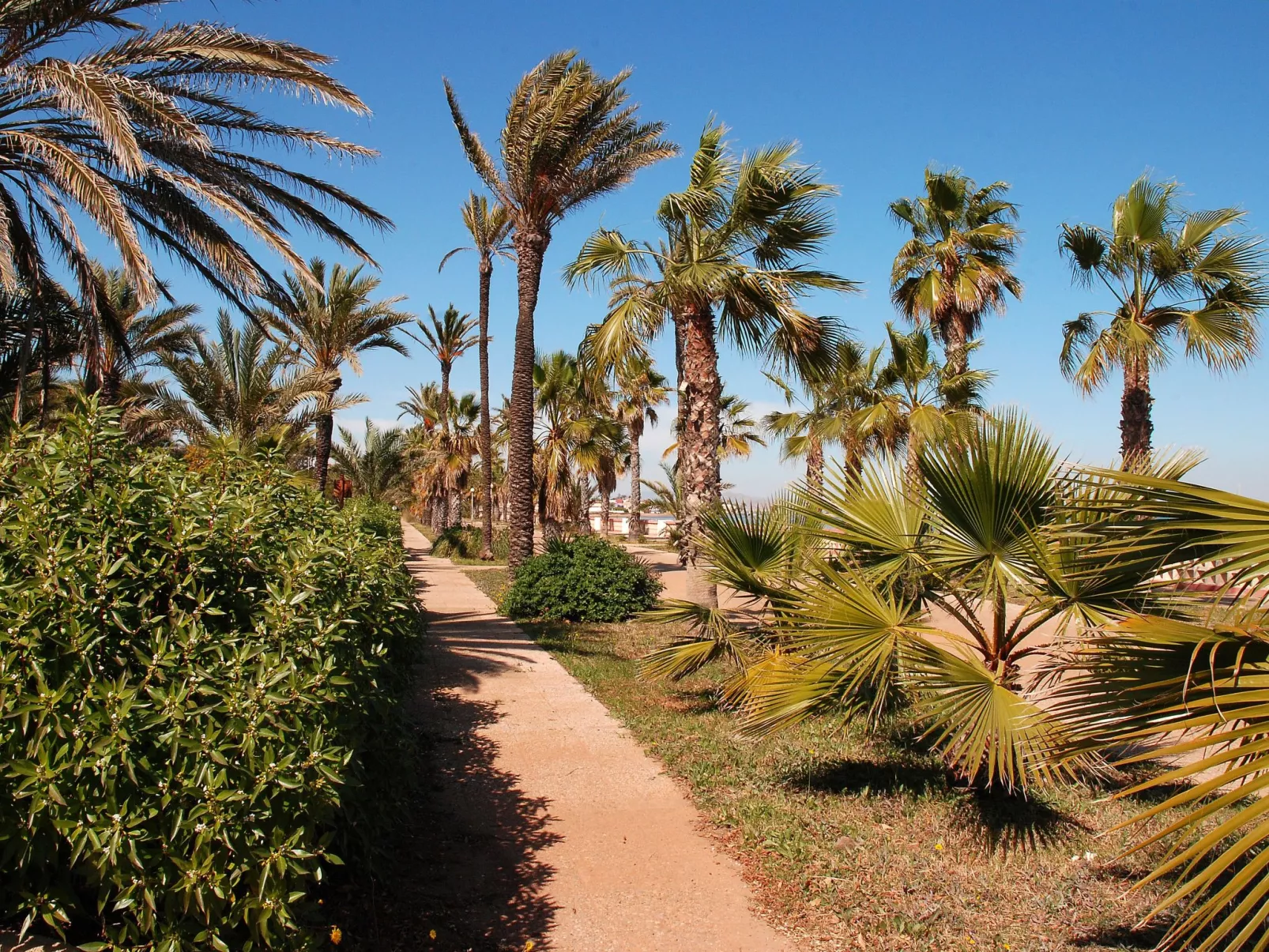 Almendros 7-Draußen