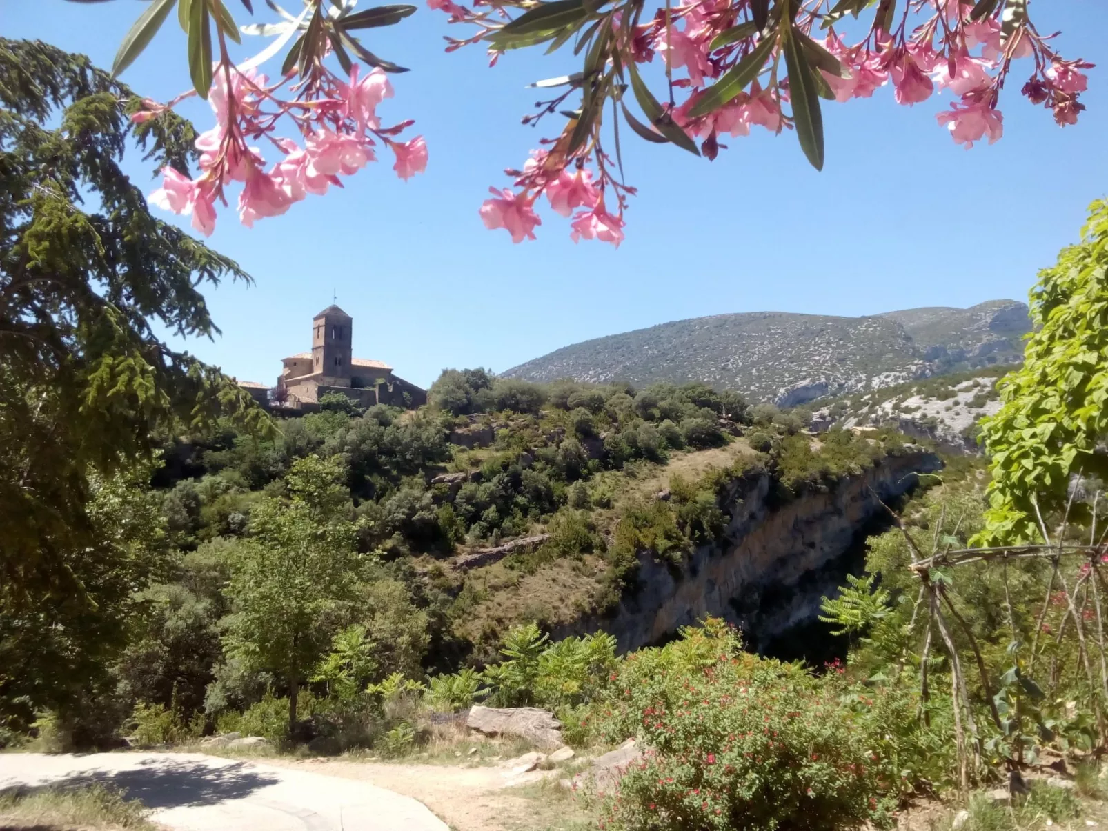 Javier Haus-Image-tags.info