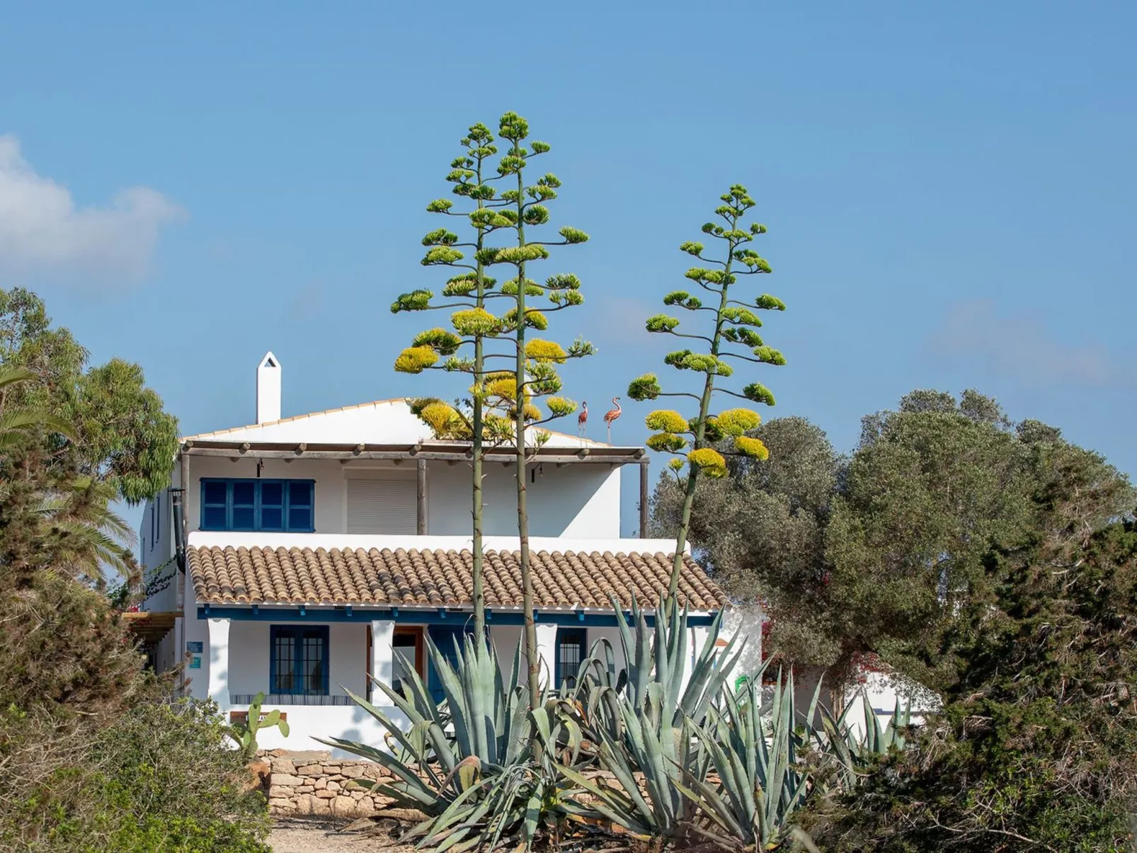 Casa Llevant 4 pax-Dehors