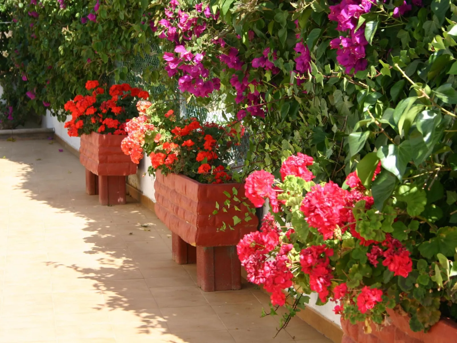 Typisch kanarische Finca Elena mit eigenem Pool-Draußen