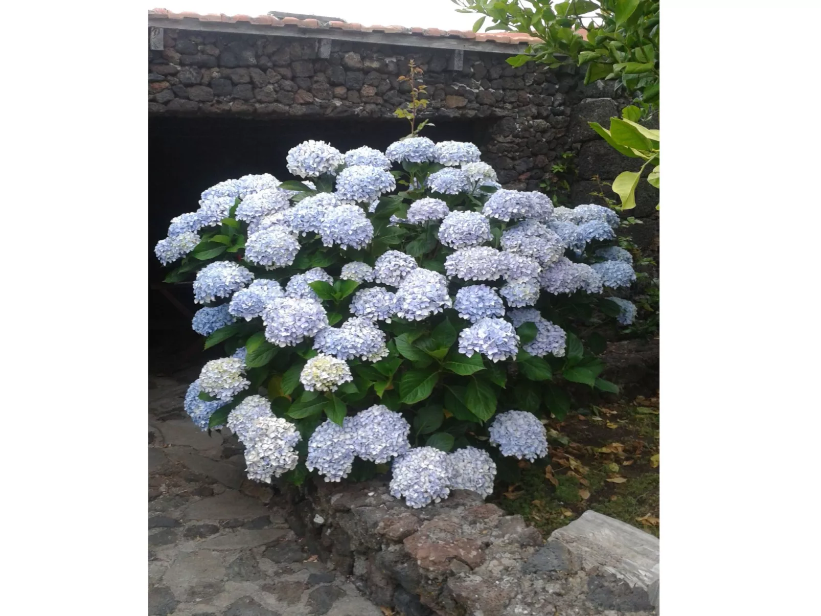 Traditionelles kanarisches Landhaus-Outside