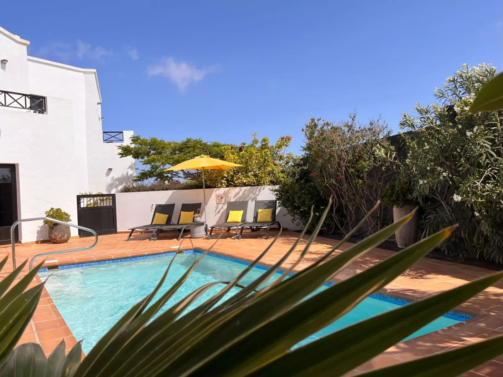 Casa Árbol del Fuego-Draußen