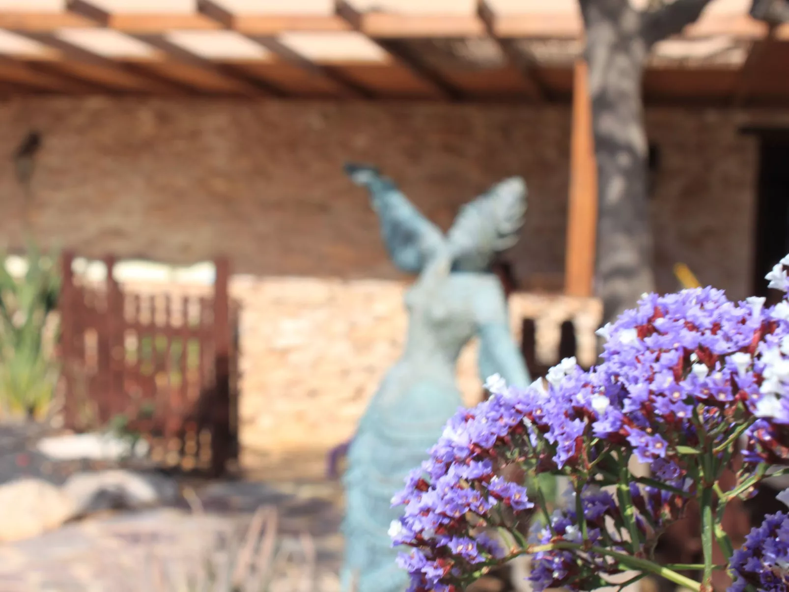 Kanarisches Haus mit privatem Pool und Garten-Outside