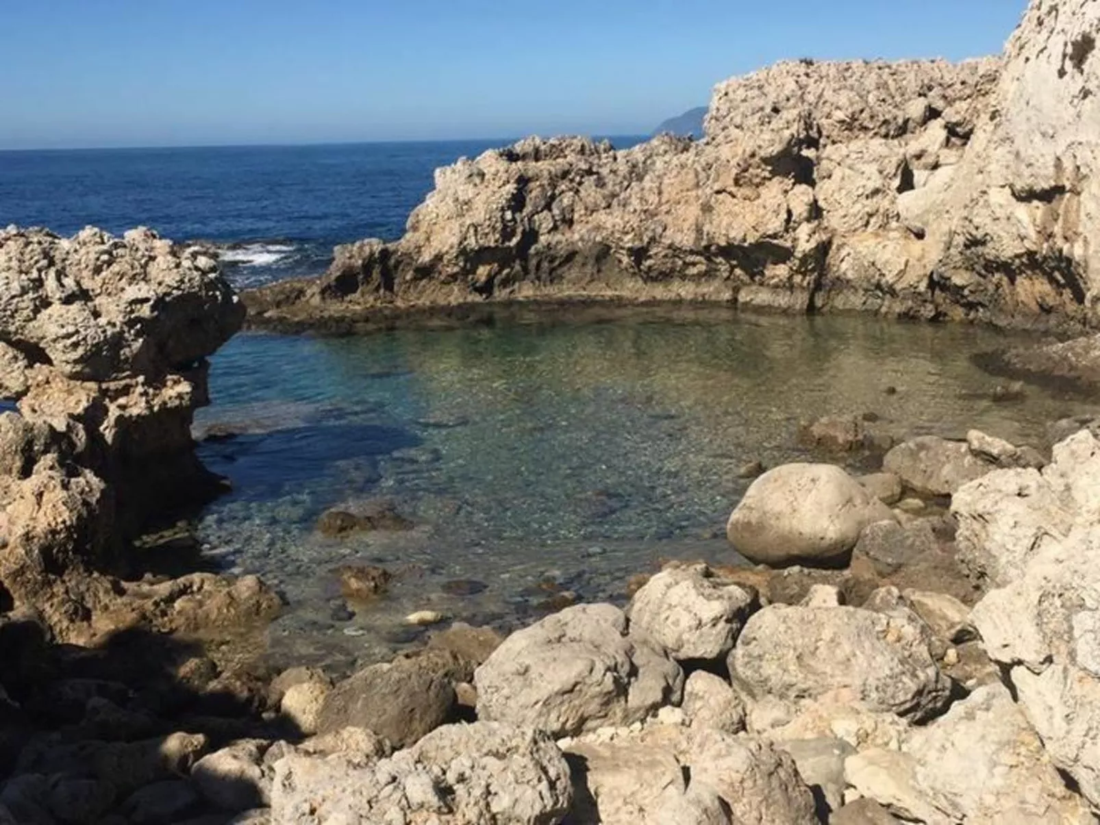 Seestern-Image-tags.info