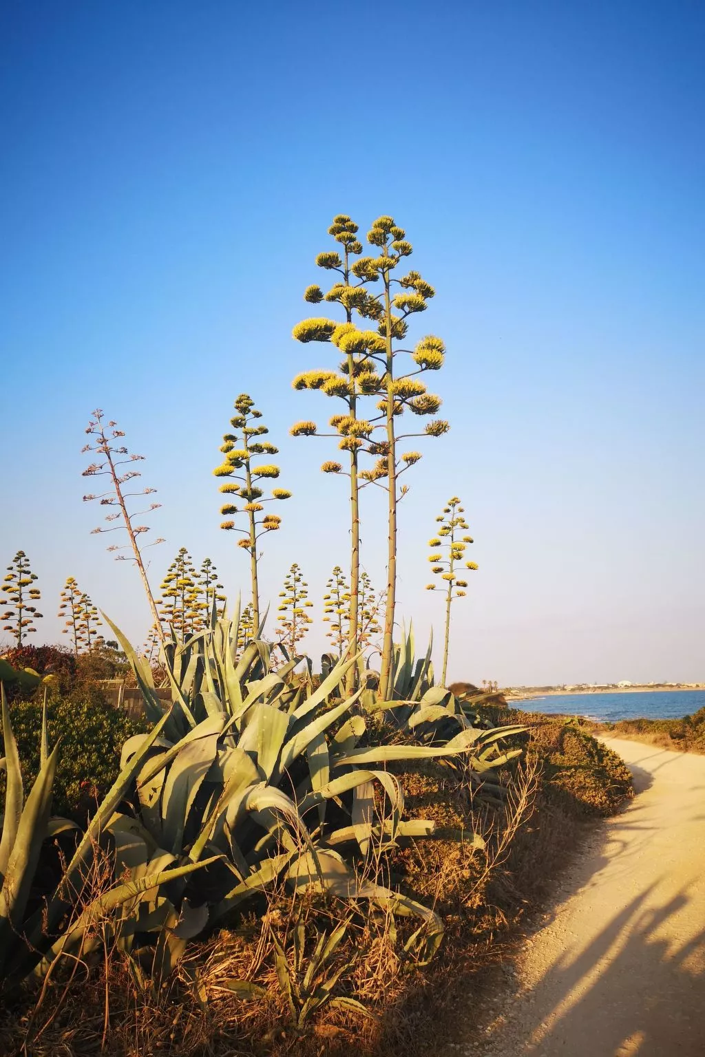 Villa Matilde: Kleine Ferienwohnung mit Meerblick-Outside