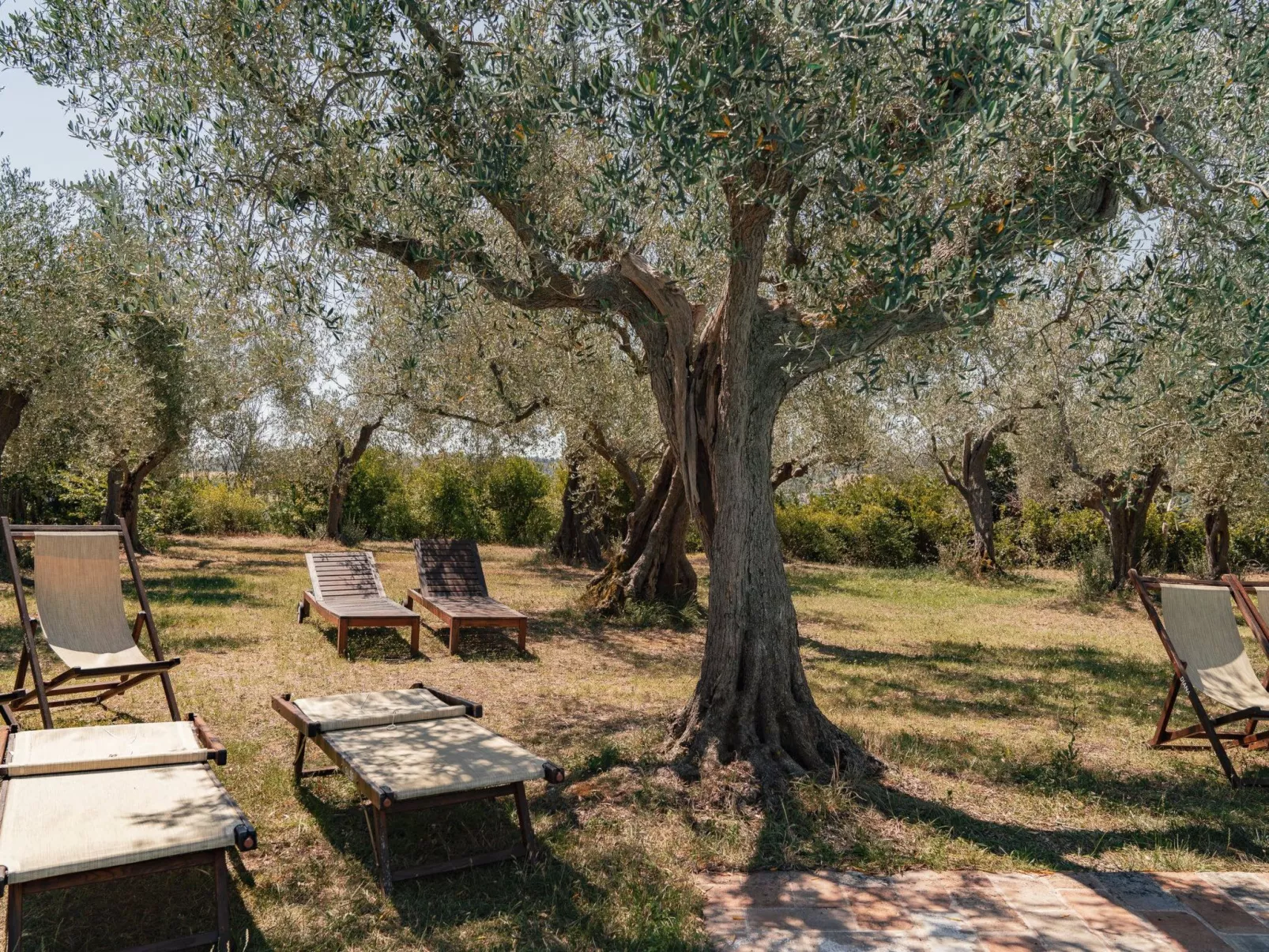 Mit Garten und Schwimmbad in den Hügeln der Marken.-Dehors